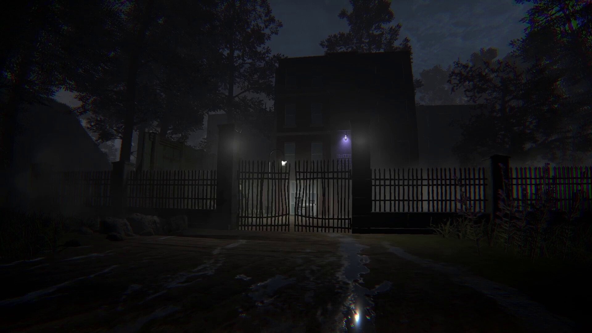 病患001/Patient 001