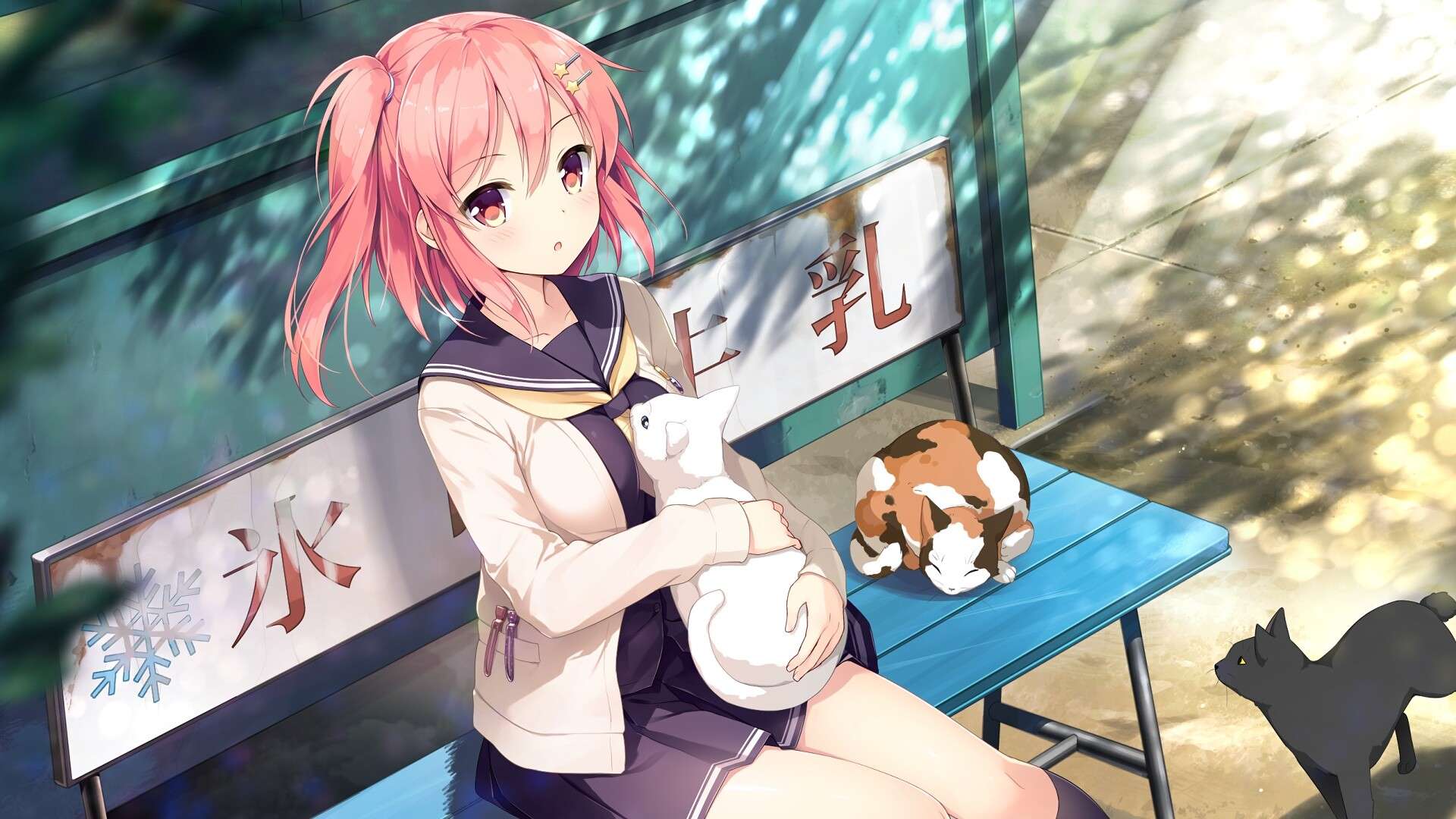 想要传达给你的爱恋/Koi x Shin Ai Kanojo