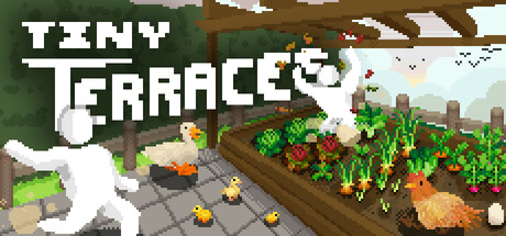 小梯田/Tiny Terraces