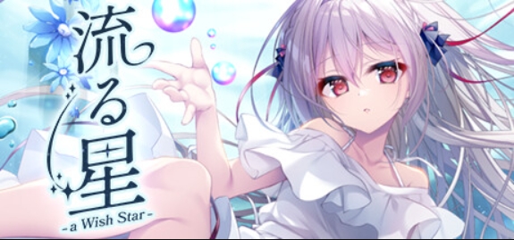 流星 -a wish star-/流る星 -a wish star-