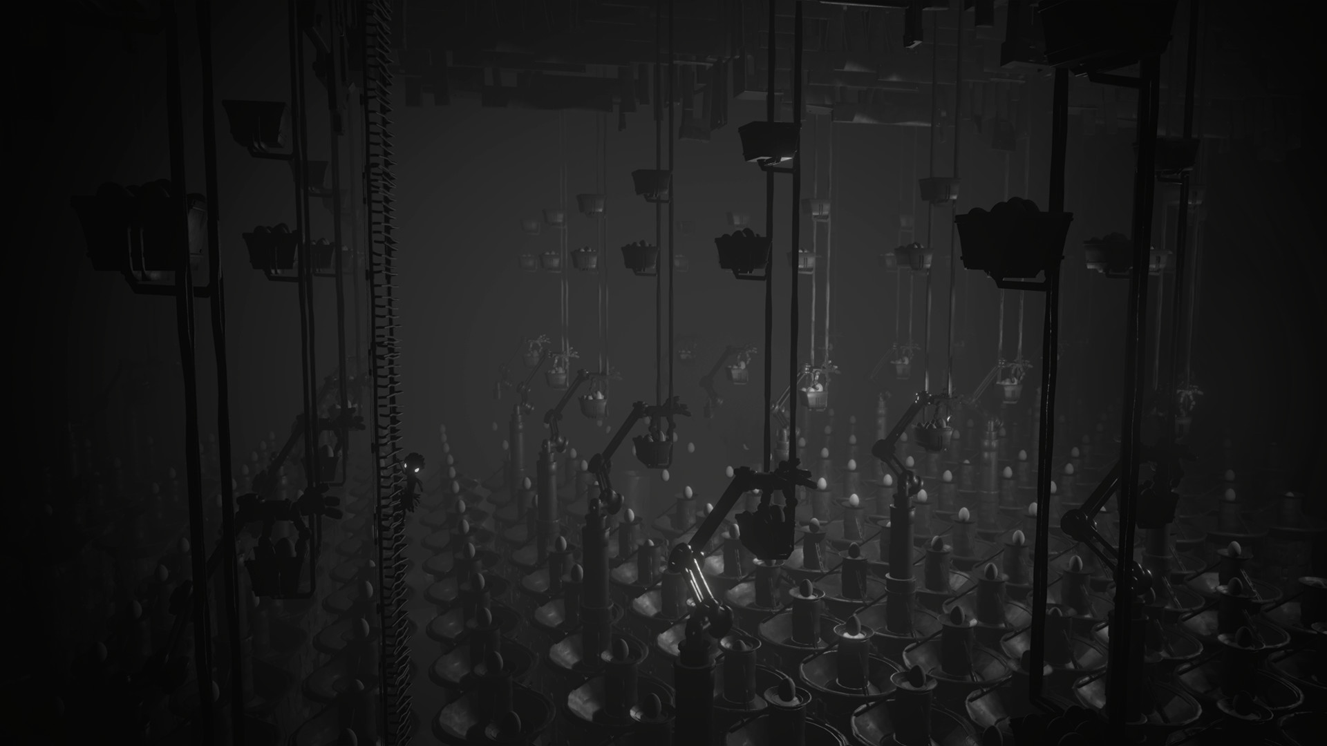 白色暗影/白色阴影/White Shadows