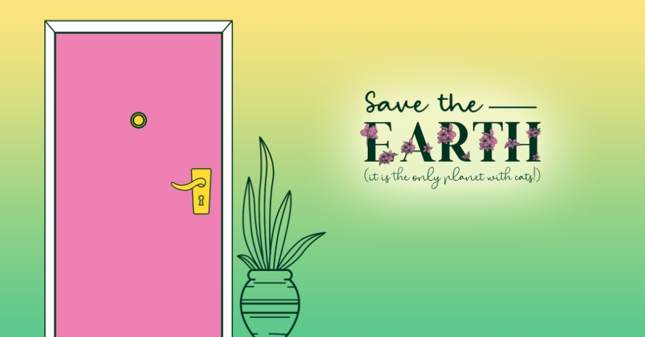 一栋满是猫的楼/A Building Full of Cats