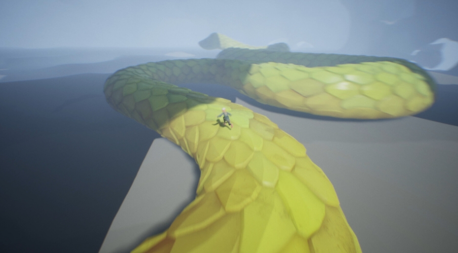 探寻未知/Chasing the Unseen