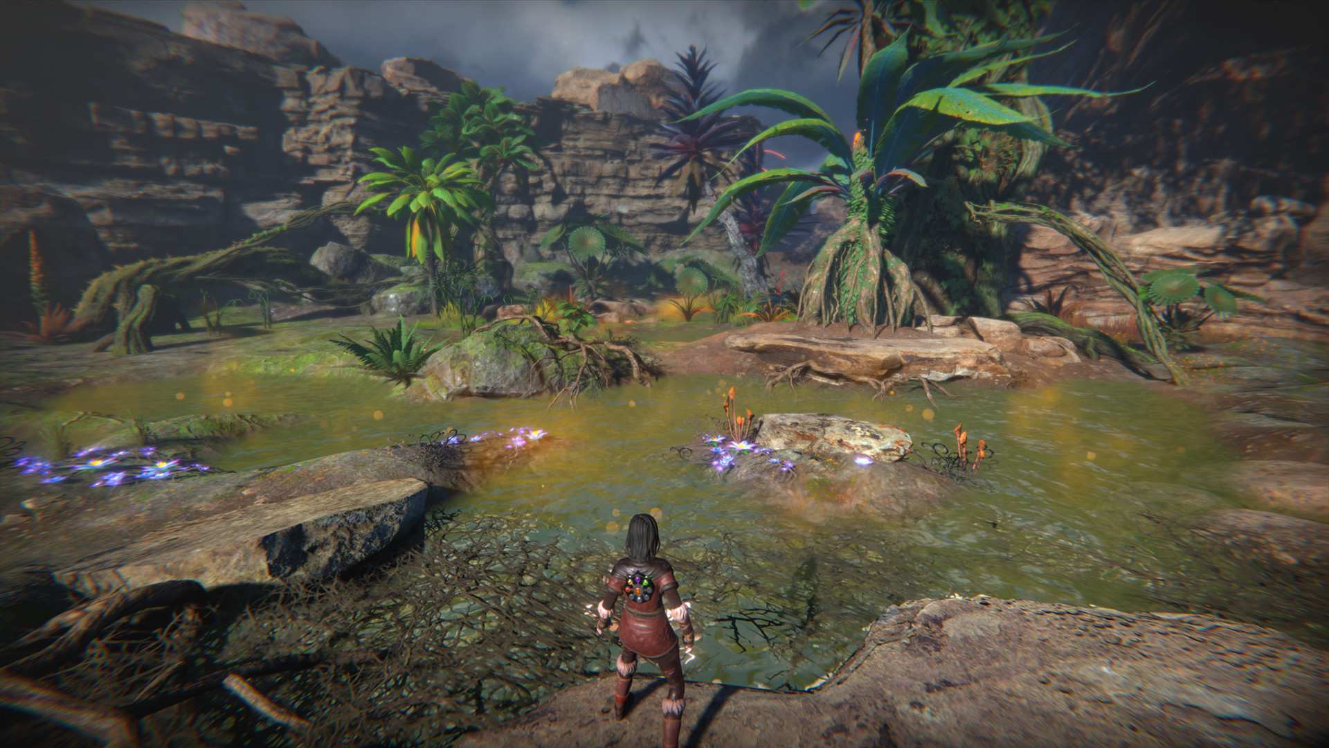 生命之种/Seed of Life_1