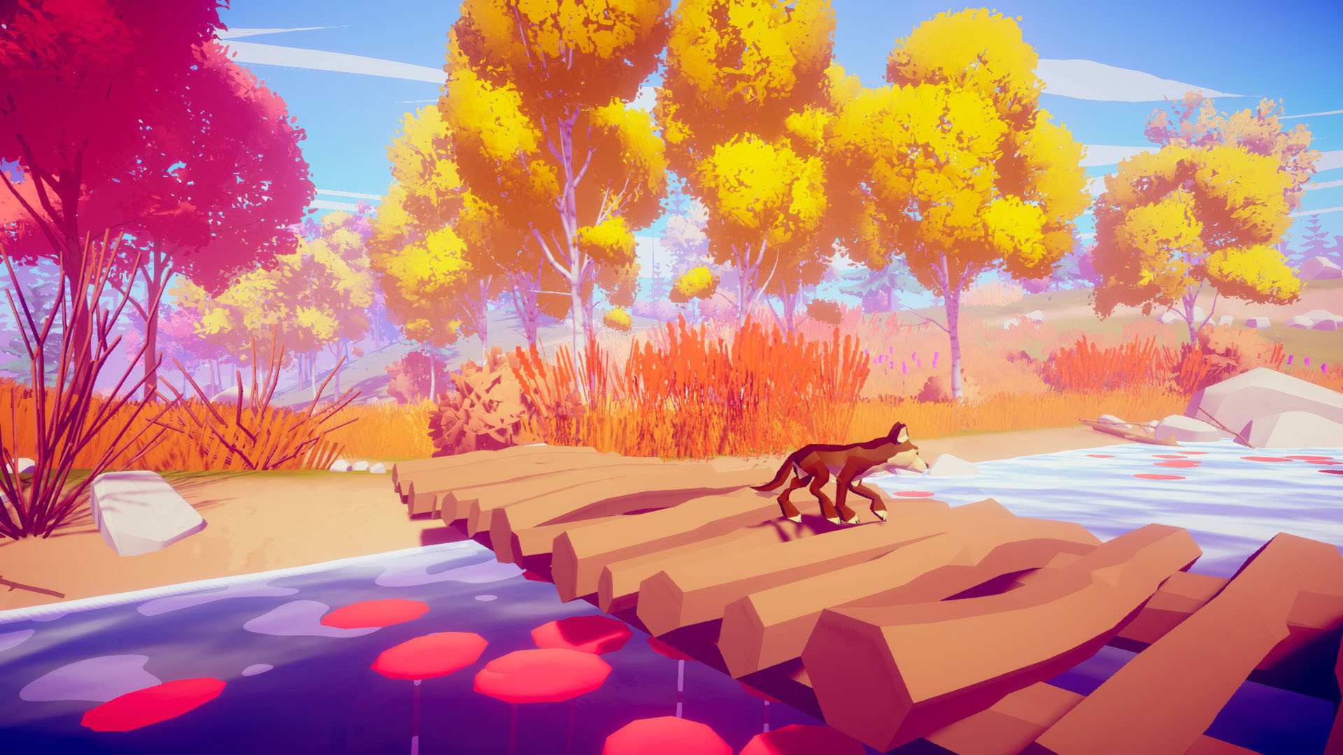 我的狼：桌面野生宠物/MY WOLF - Desktop Wild Pet_4