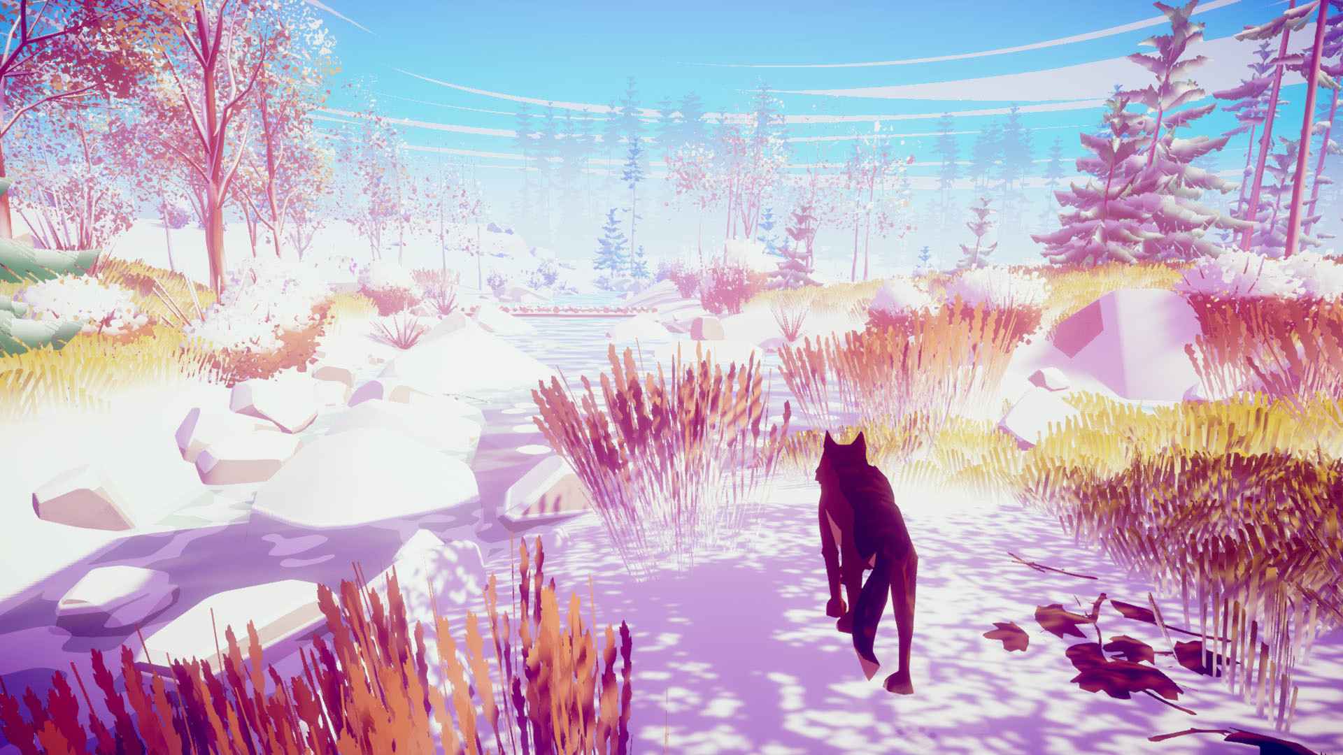 我的狼：桌面野生宠物/MY WOLF - Desktop Wild Pet_2