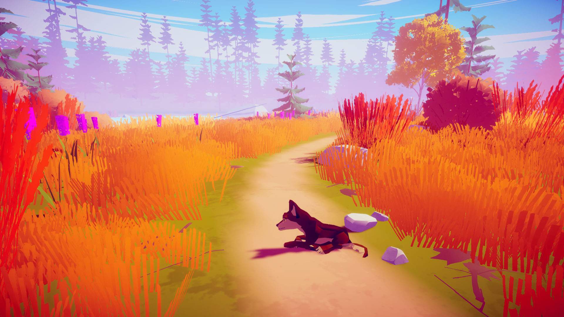 我的狼：桌面野生宠物/MY WOLF - Desktop Wild Pet_1