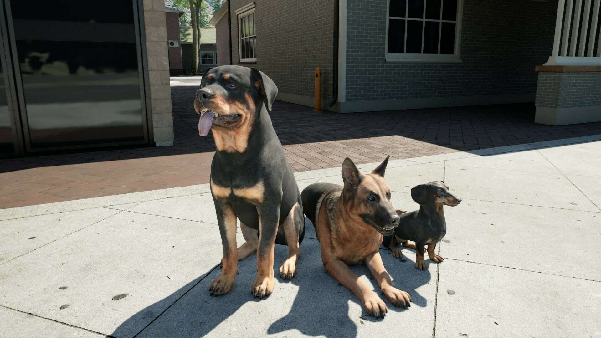 牧场模拟器/Ranch Simulator/支持网络联机_5