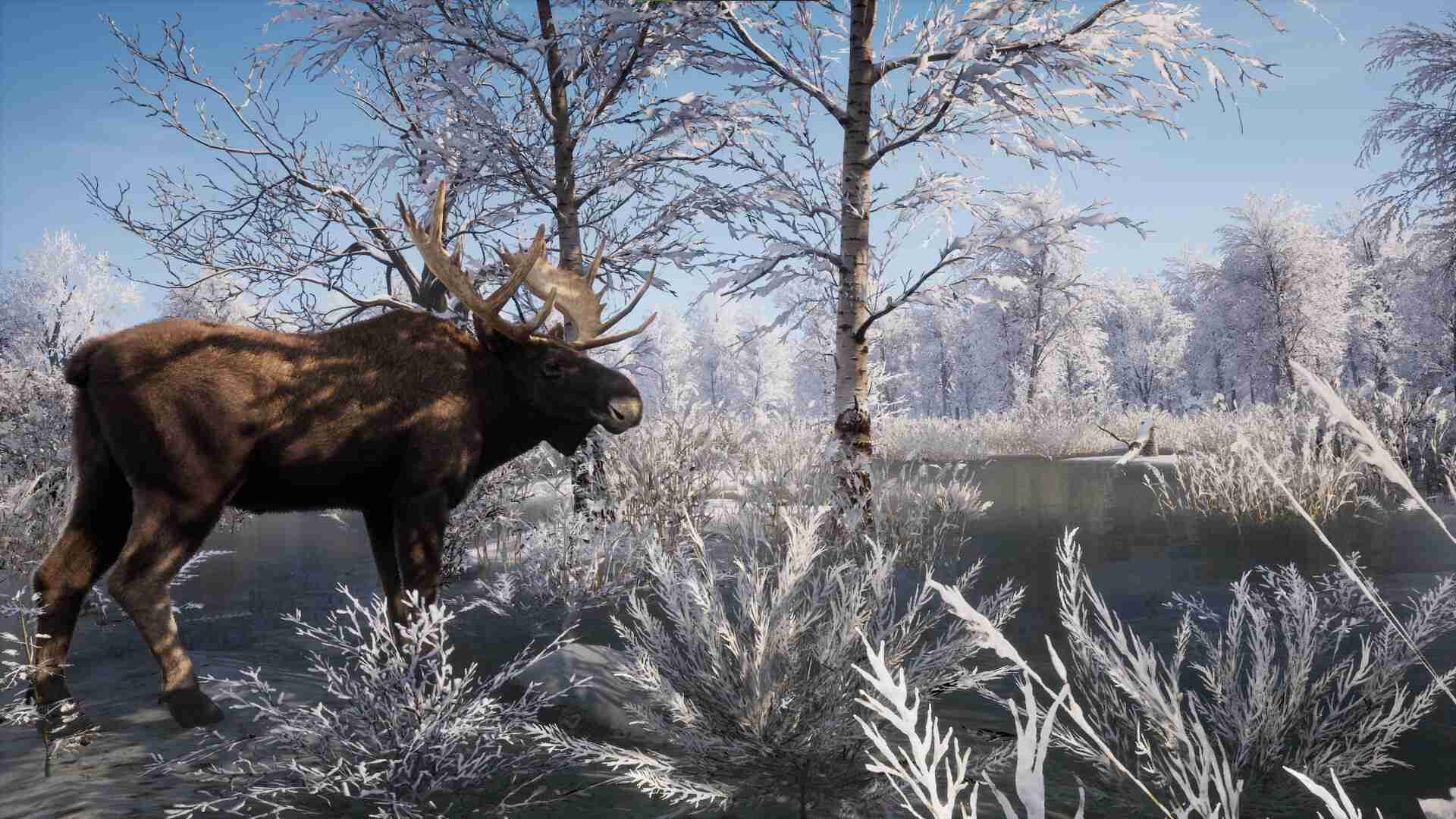 中世纪王朝/Medieval Dynasty/支持网络联机_1