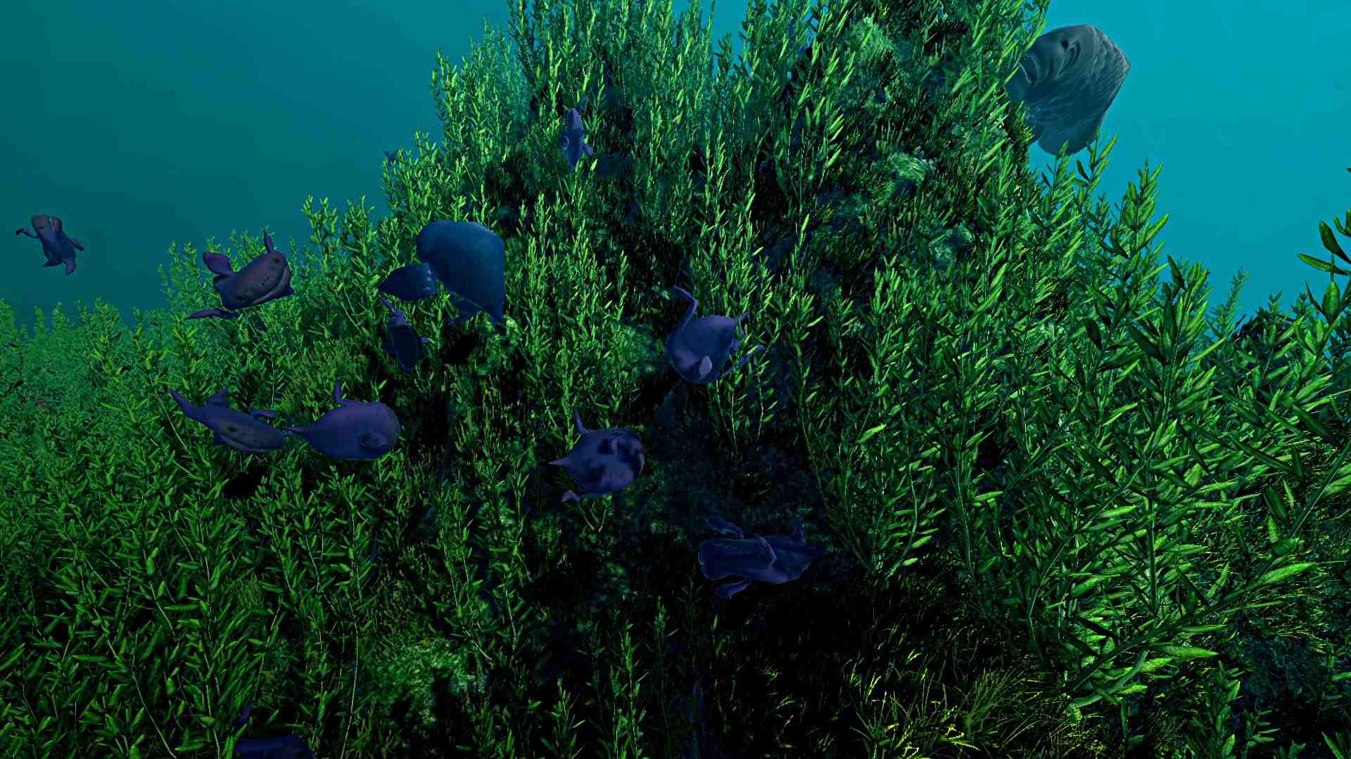 生态系统/Ecosystem_3