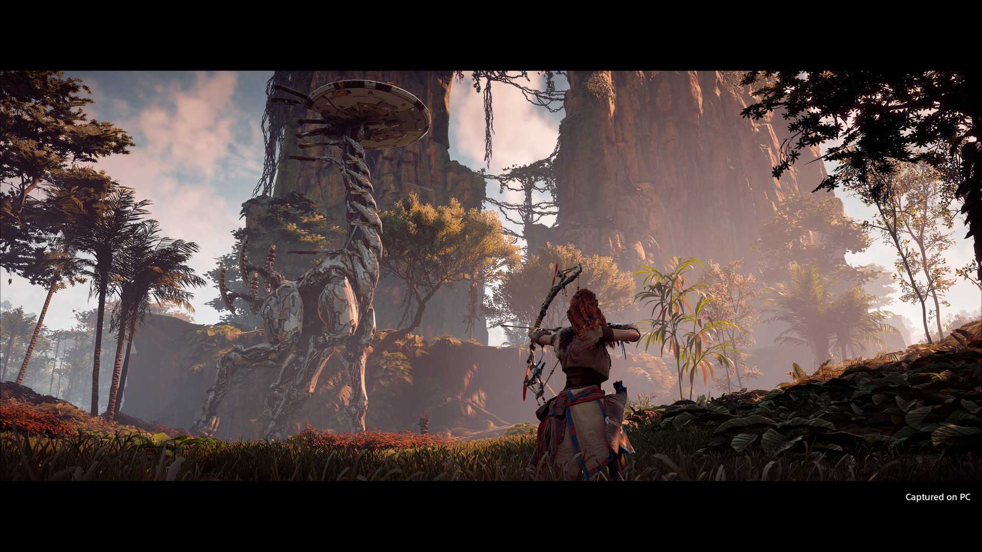地平线：零之曙光完全版/Horizon Zero Dawn Complete Edition_0