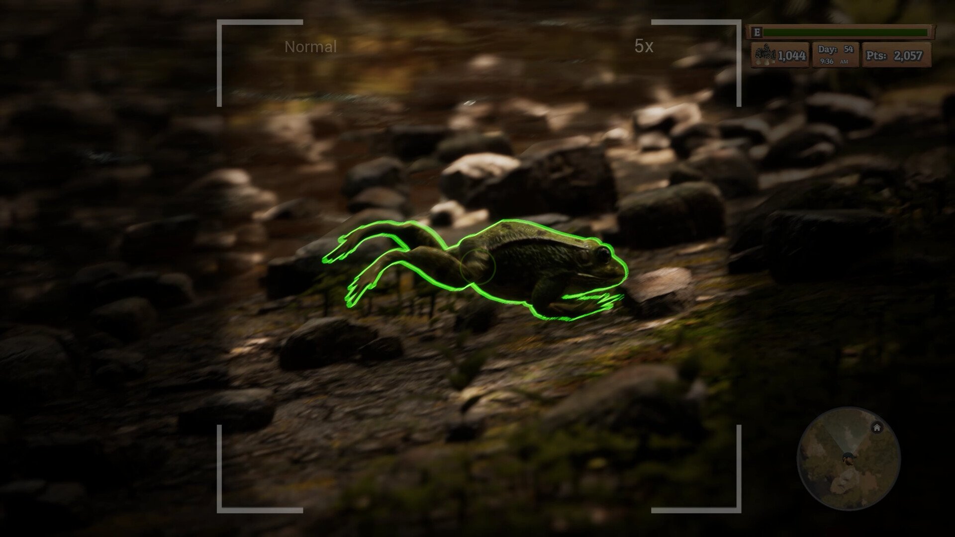 羊肚菌：狩猎/Morels: The Hunt_5