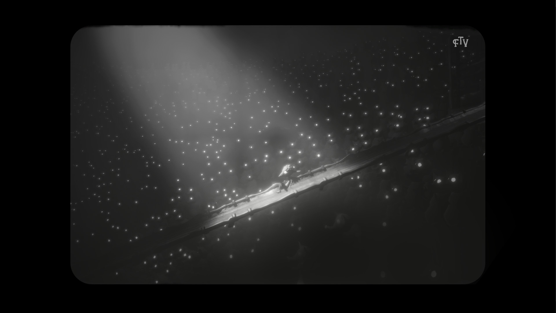 白色暗影/白色阴影/White Shadows_0