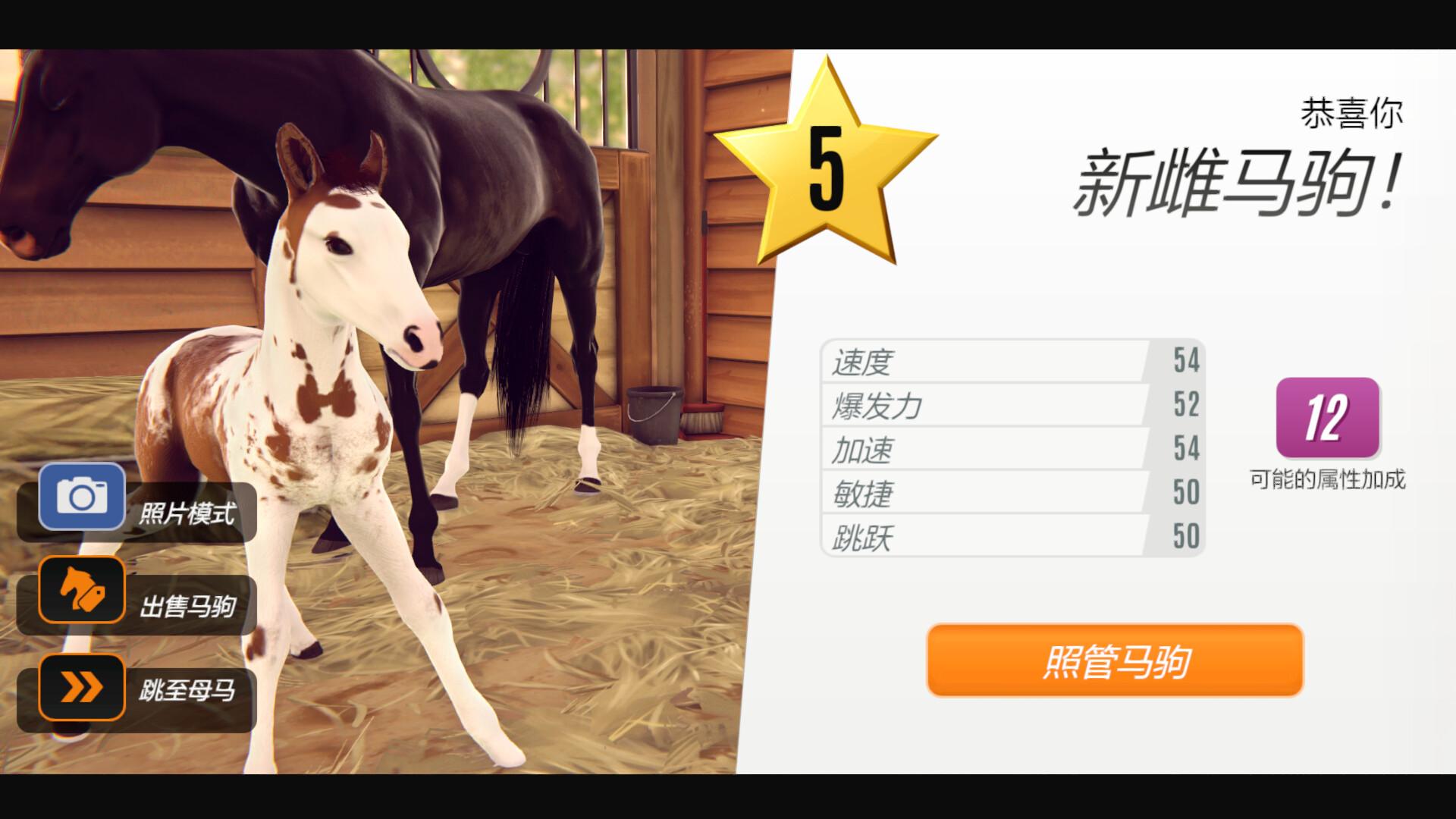 家族传奇：马匹养成竞技/Rival Stars Horse Racing: Desktop Edition_4