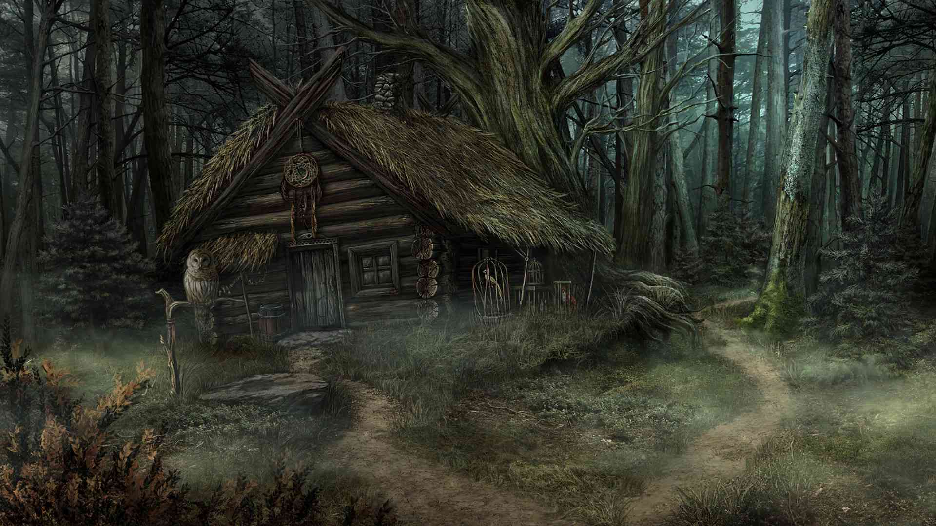 荒唐的案例/The Wild Case_4