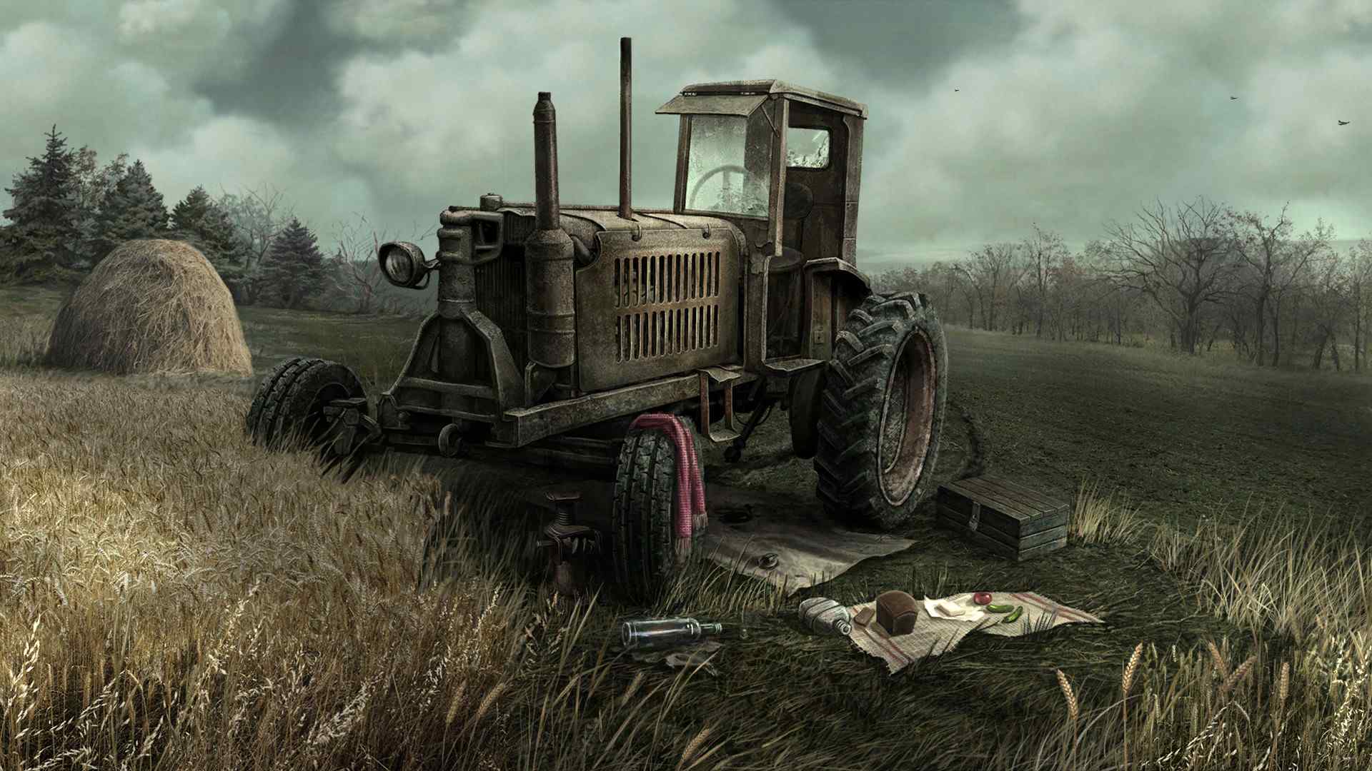 荒唐的案例/The Wild Case_3