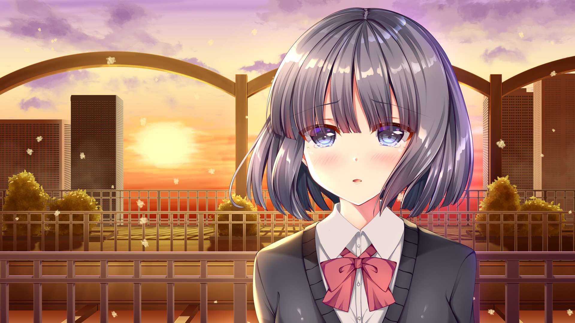 白色之翼/White Wings_1