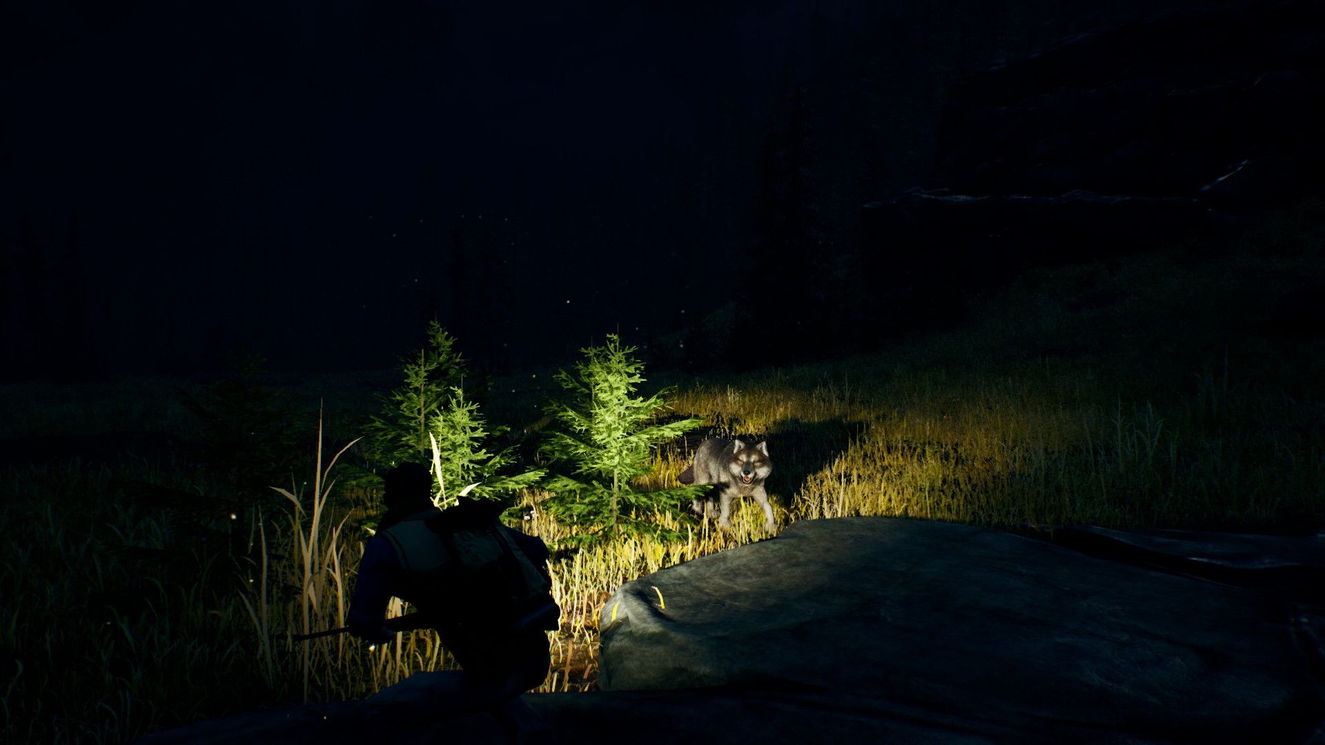 辽阔旷野/Open Country_2