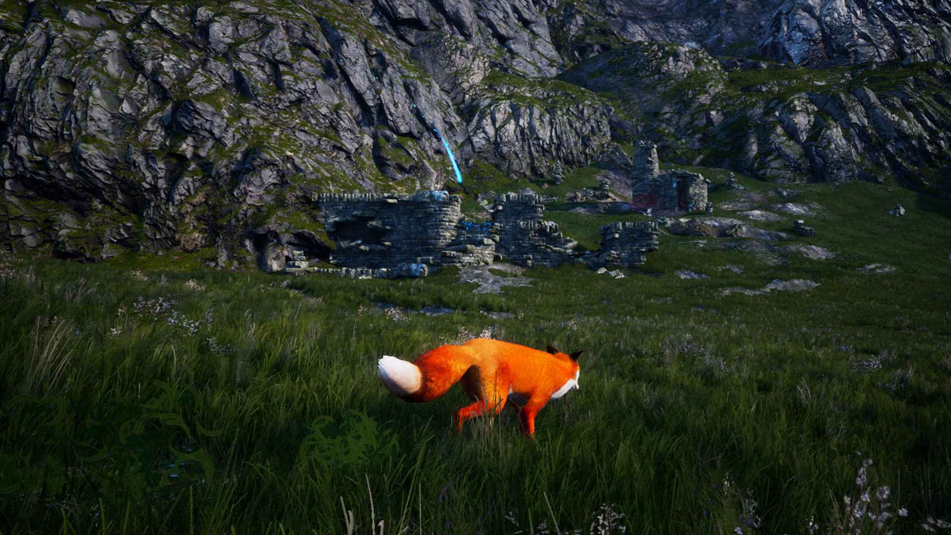 北方之魂/北方之灵/灵狐之魂/红色狐狸/Spirit of the North_4