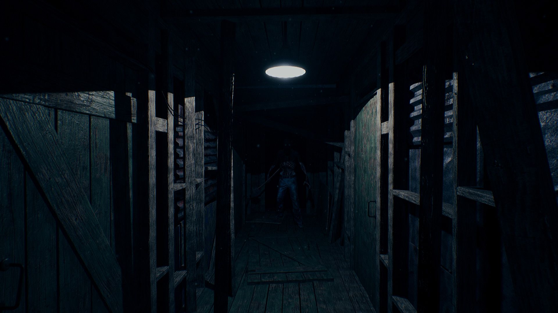 山中凶宅/Mists of Aiden_2