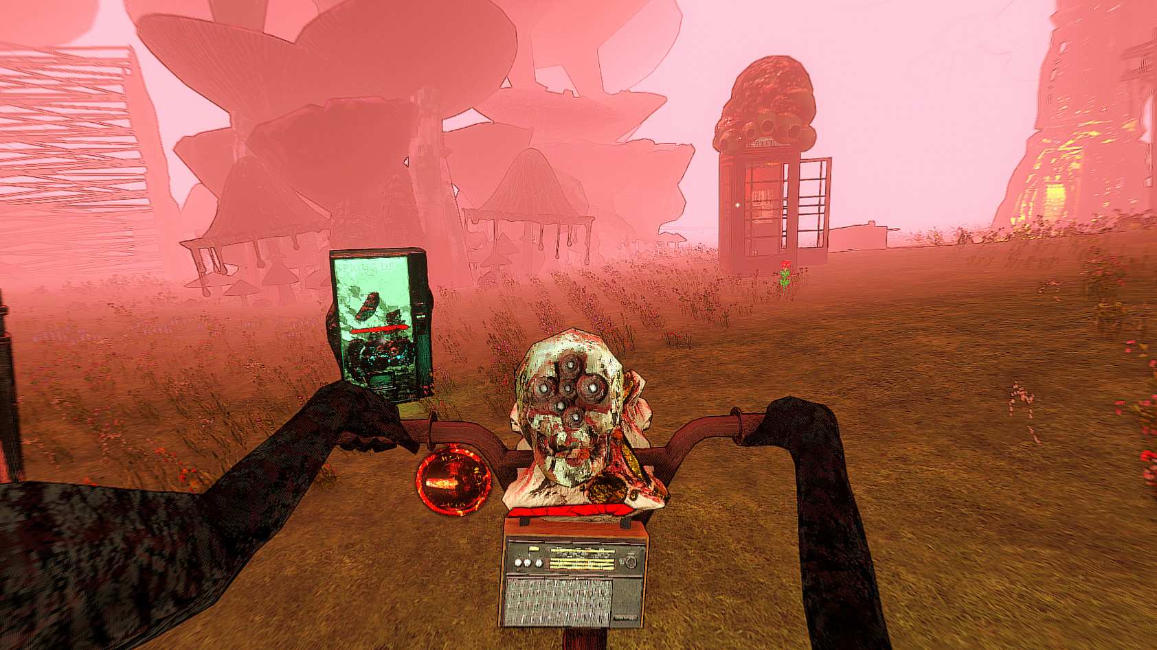 金色的光芒/Golden Light_3