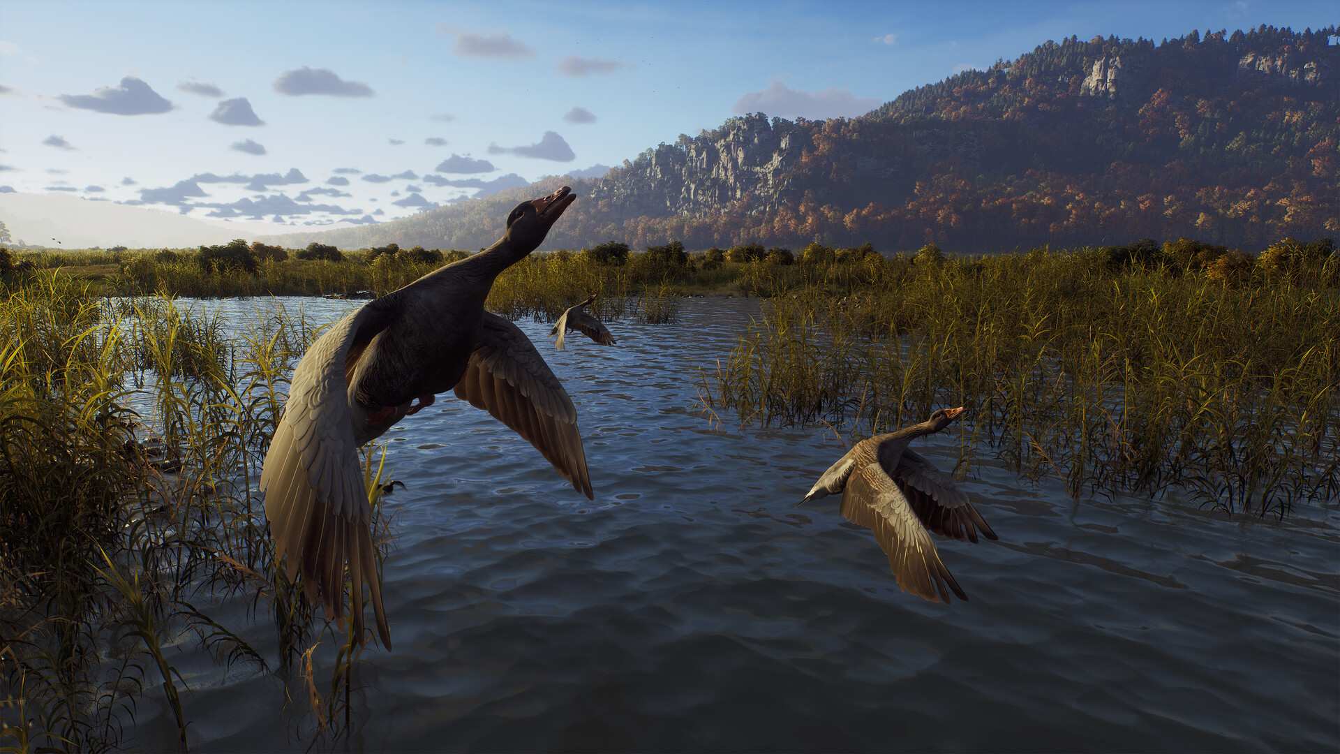 狩猎之道/猎人之路/Way of the Hunter_5