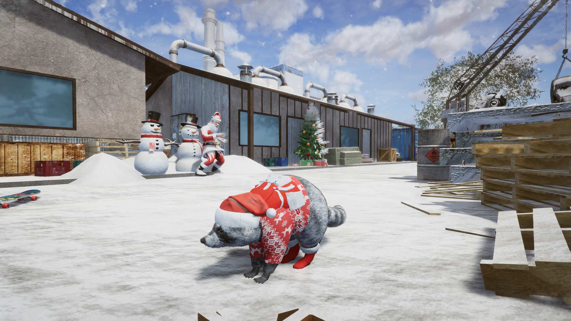 浣熊通缉犯/Wanted Raccoon_0