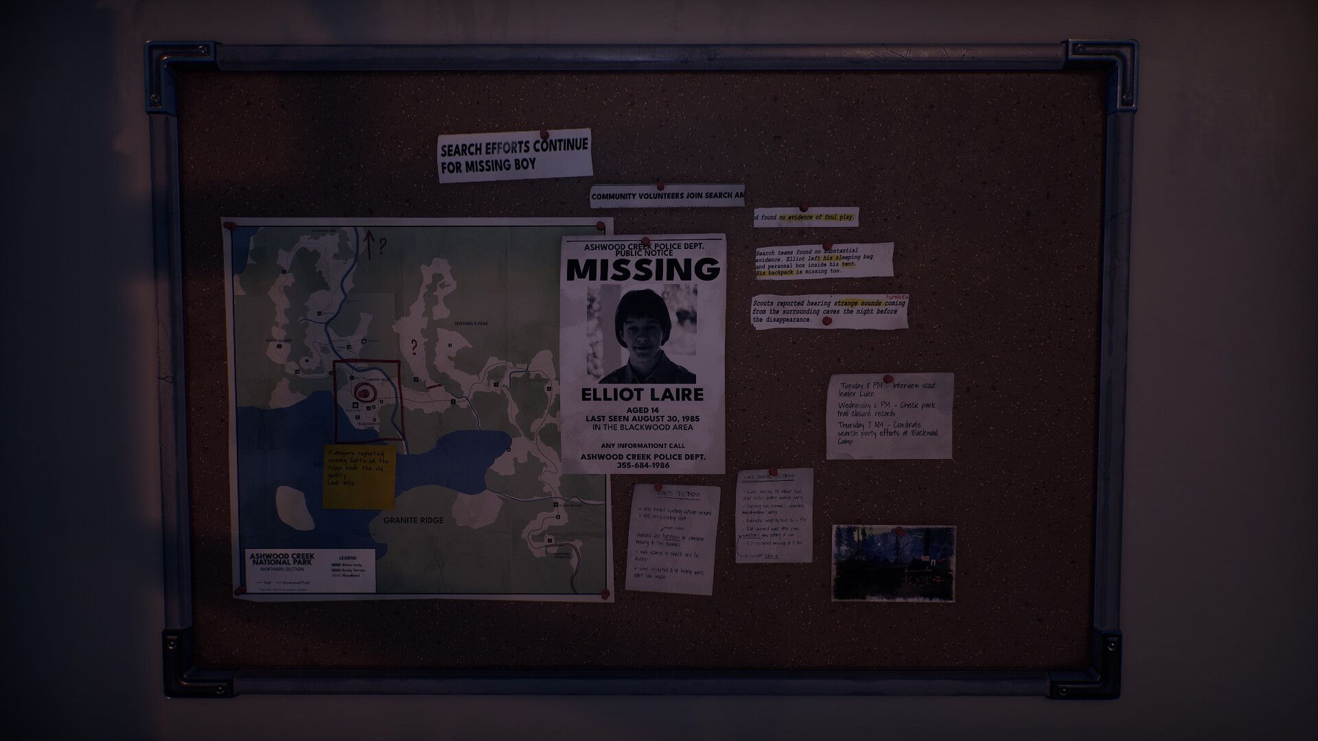 灰木溪电台/Radiolight_1