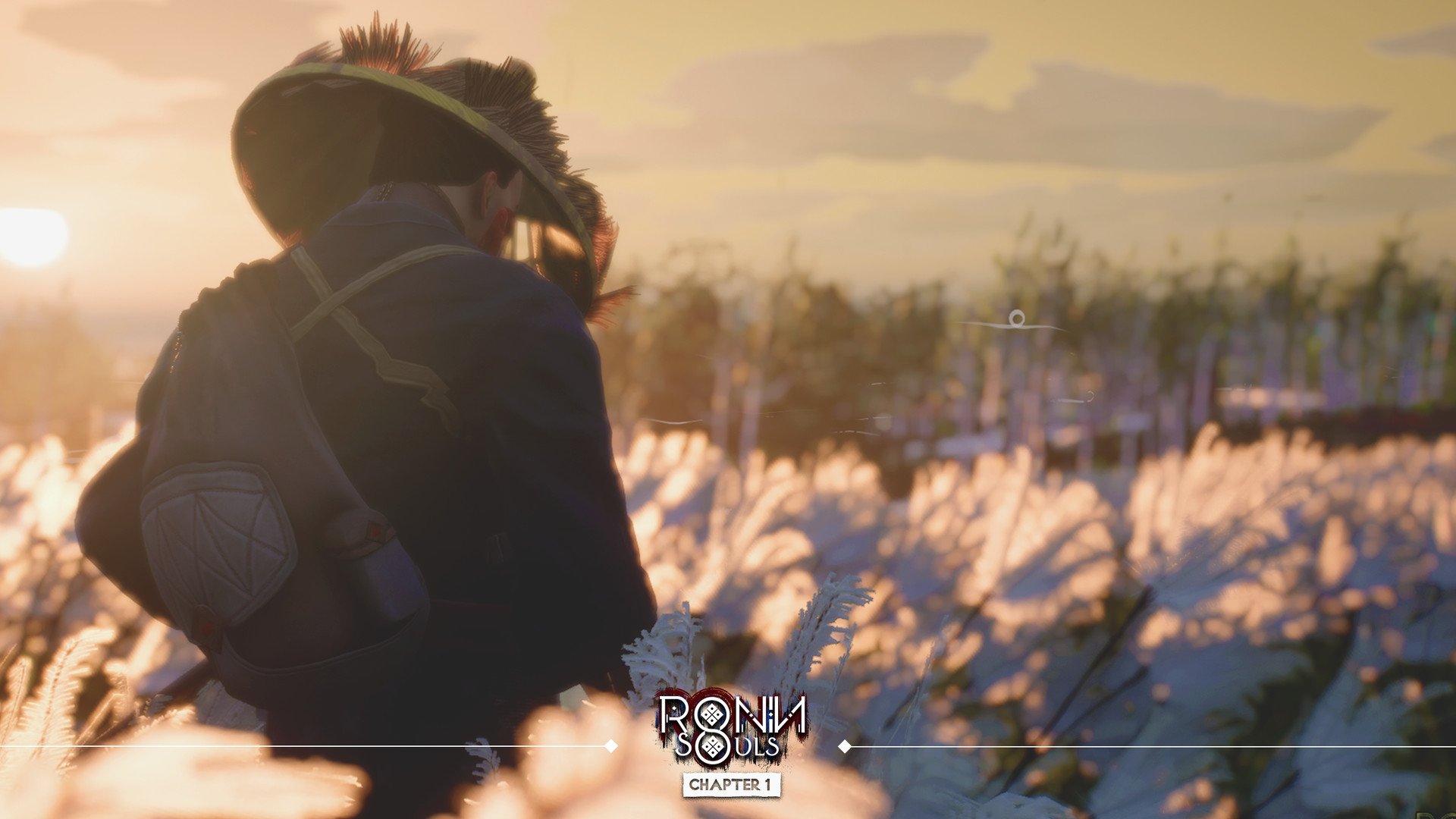 浪人：两魂一体/RONIN: Two Souls CHAPTER 1_0