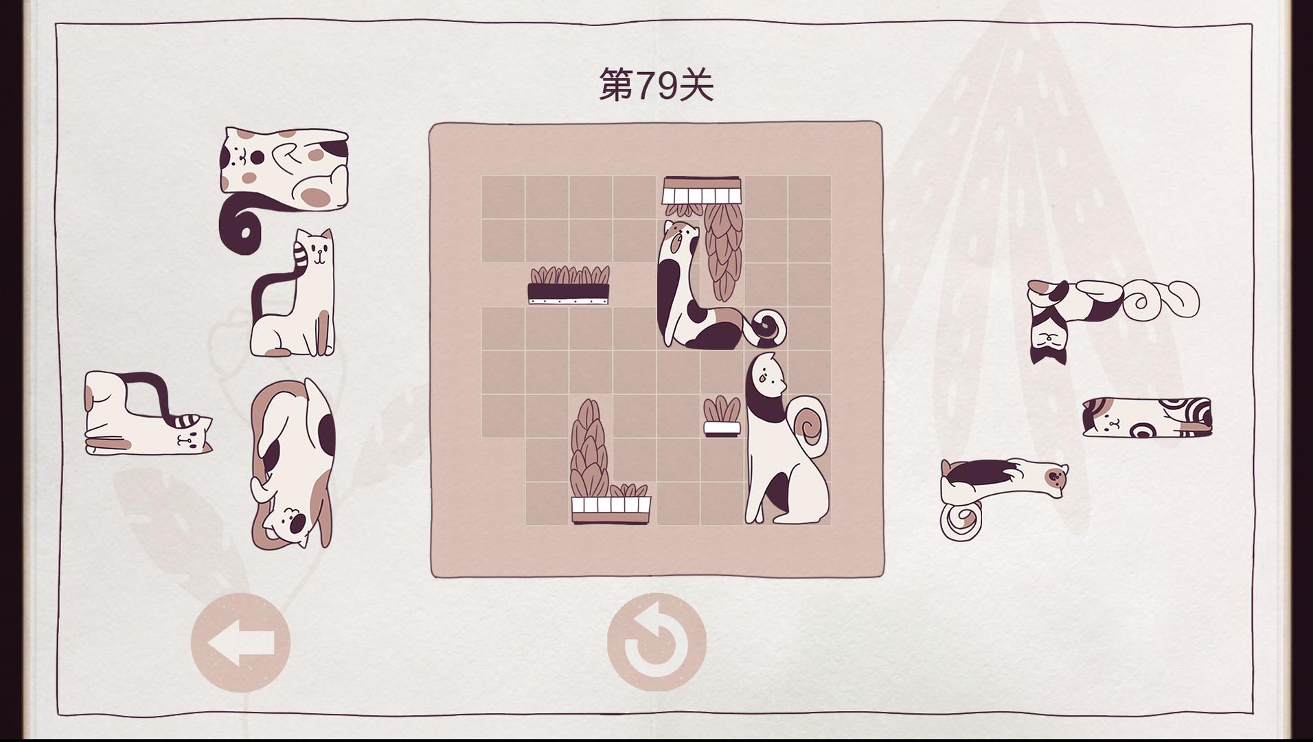 井然有猫/Cats Organized Neatly_2