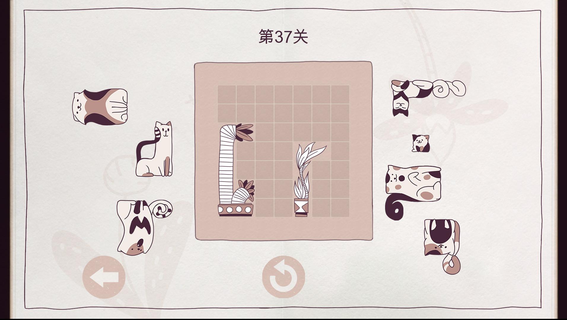 井然有猫/Cats Organized Neatly_3