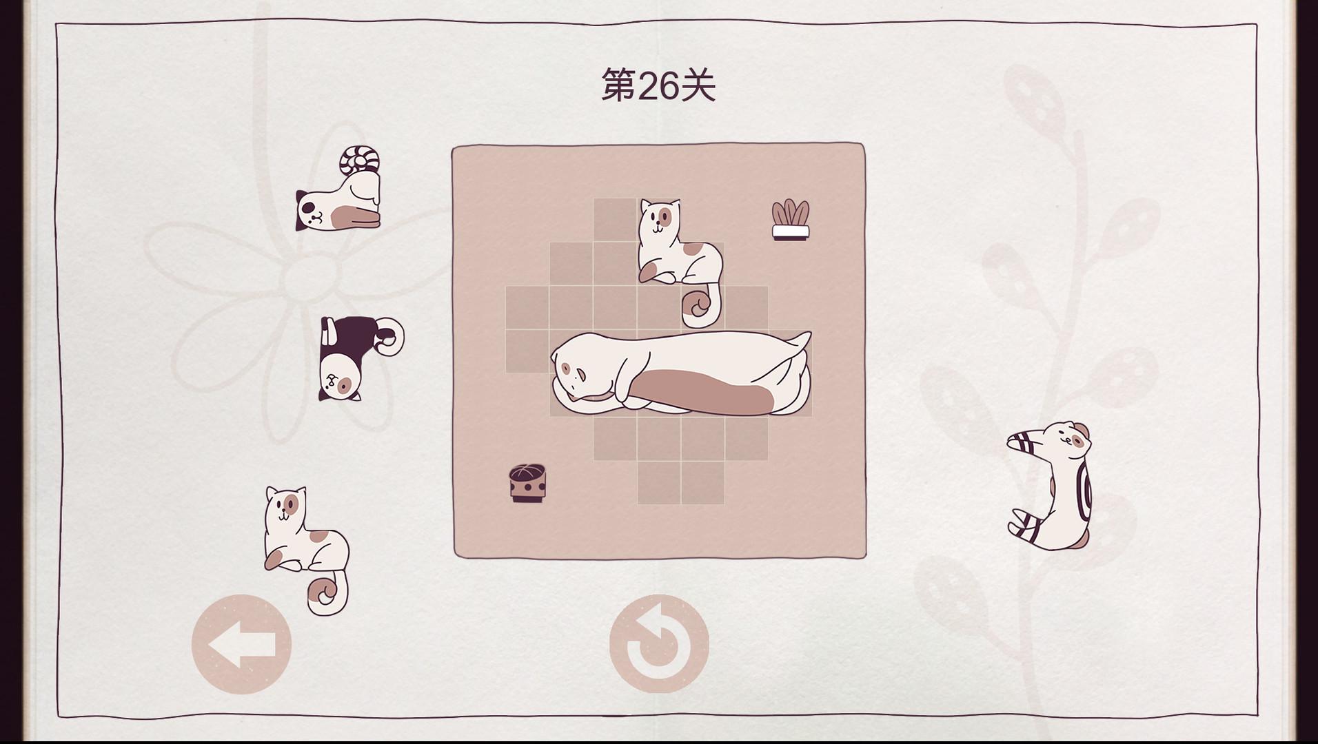 井然有猫/Cats Organized Neatly_1