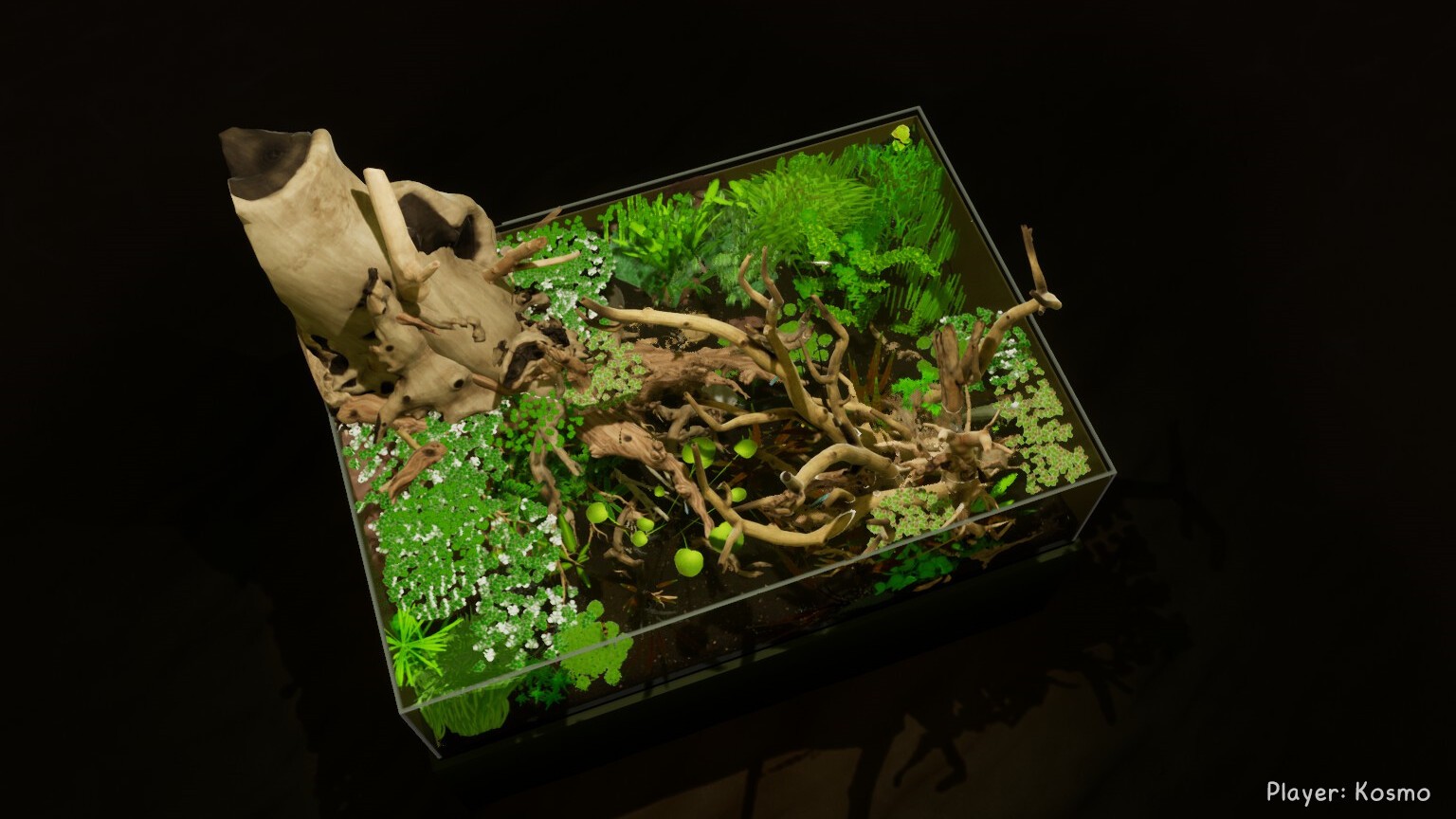 养鱼模拟器/Fish Game_3