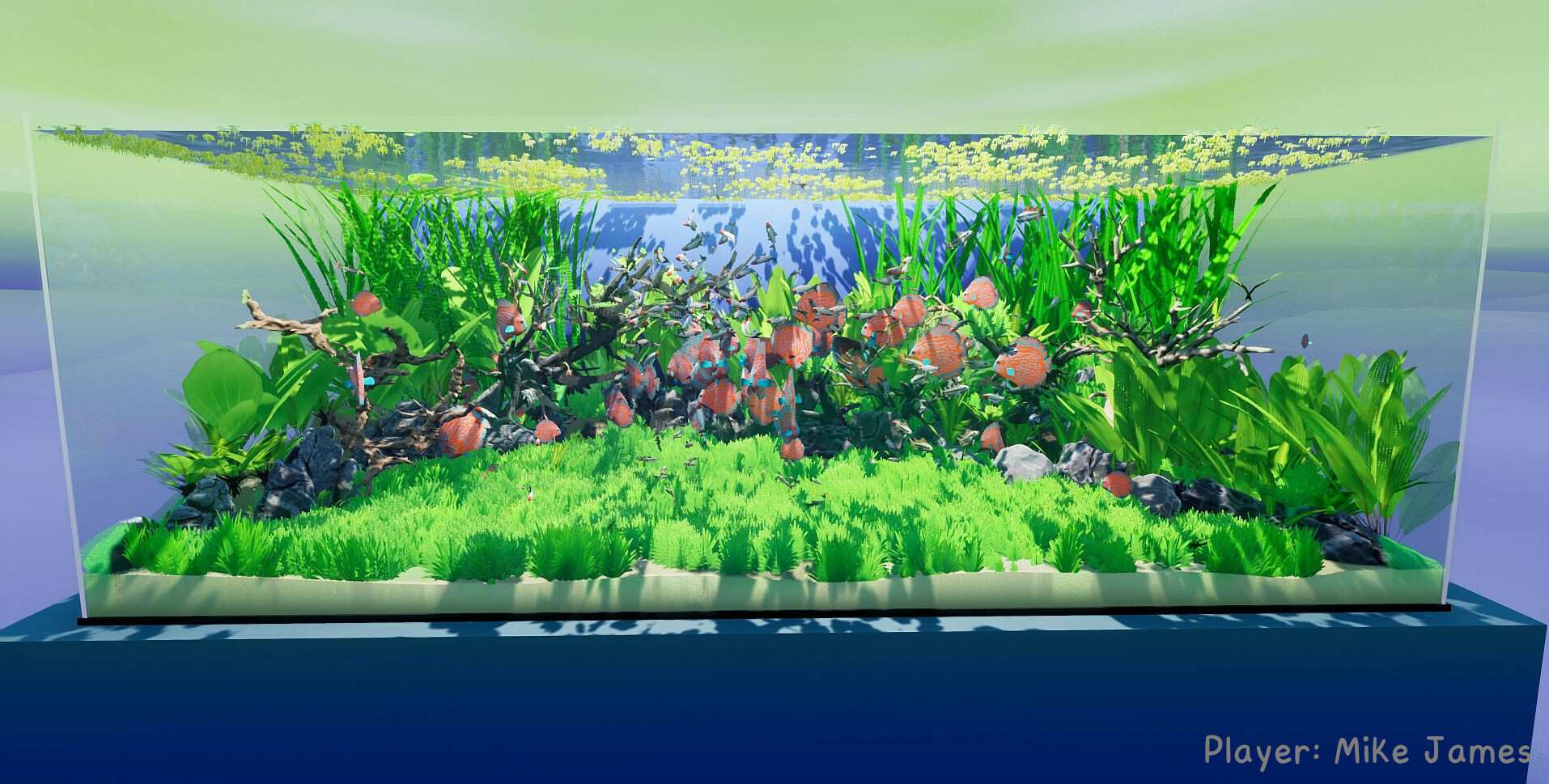 养鱼模拟器/Fish Game_4