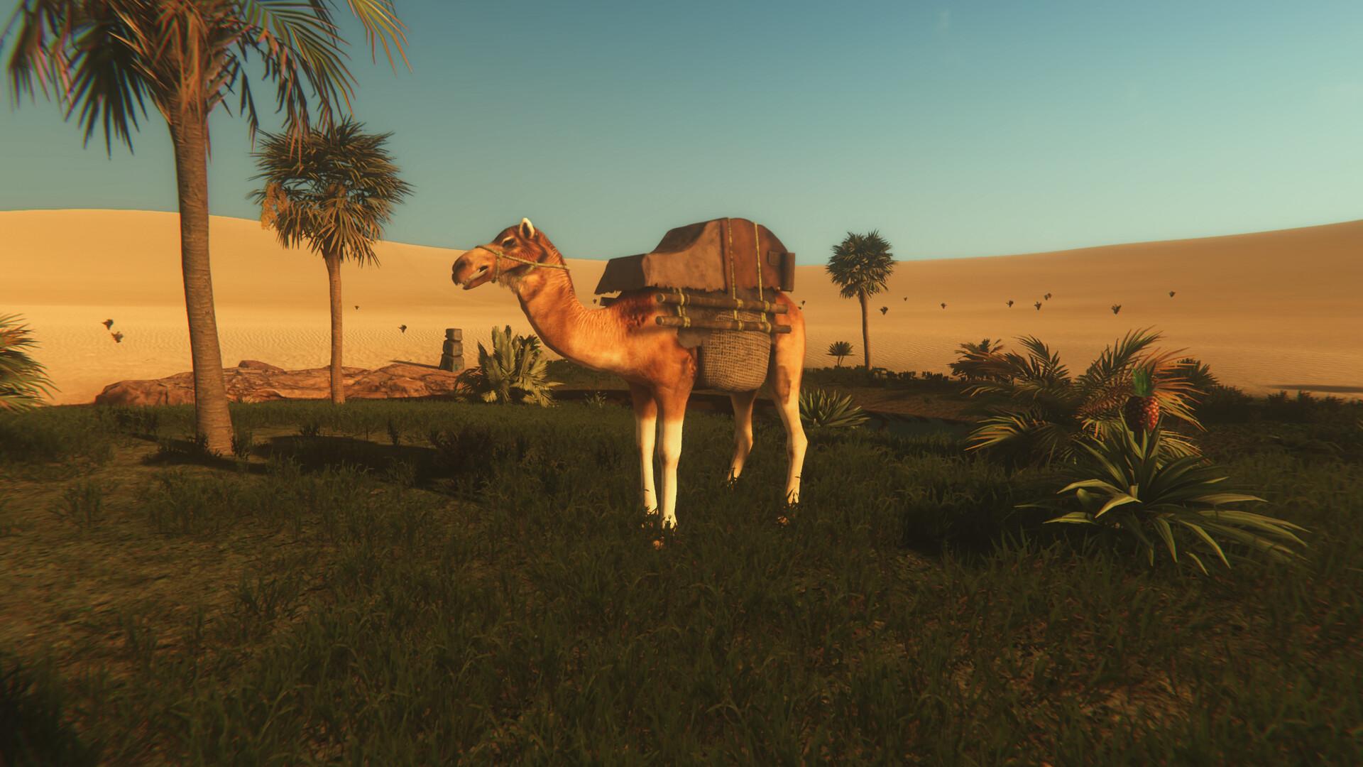 星辰沙海/Starsand_2