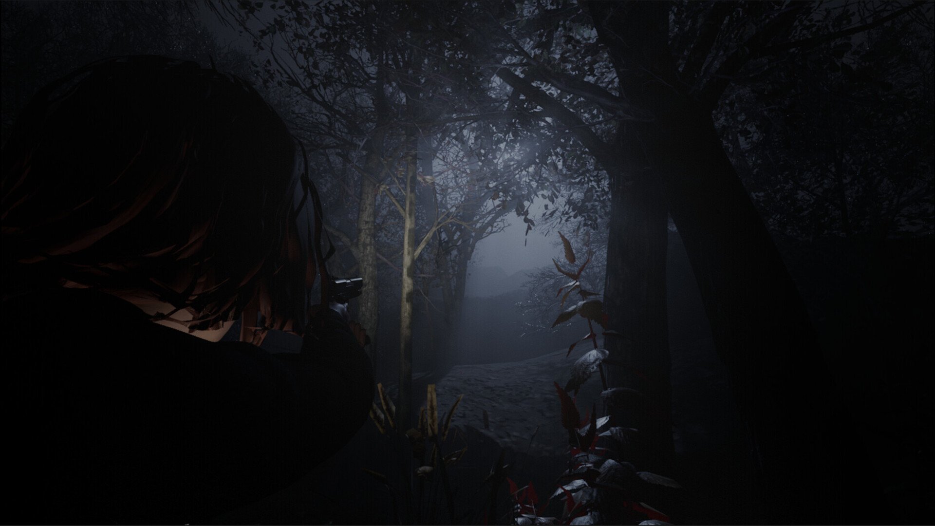 黎明教派/Cult of Dawn_1