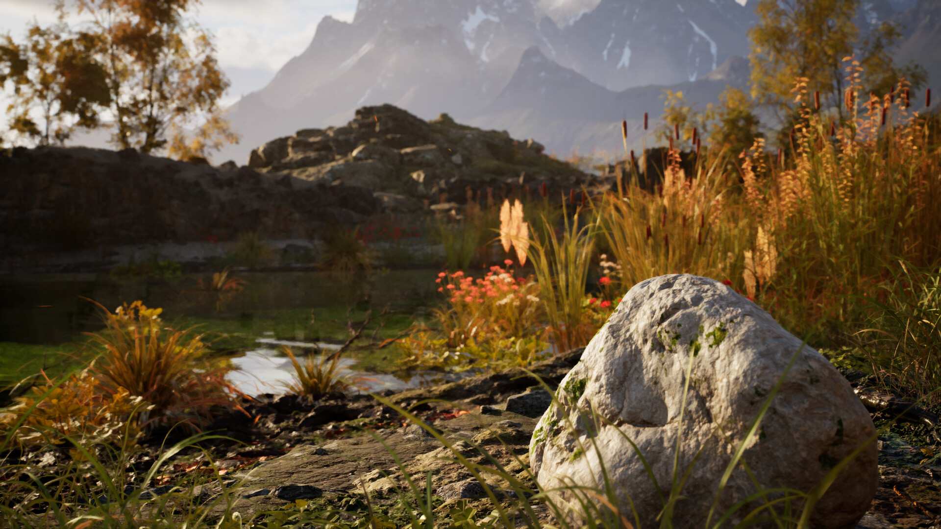 石头模拟器/Stone Simulator – Just Be a Rock_3