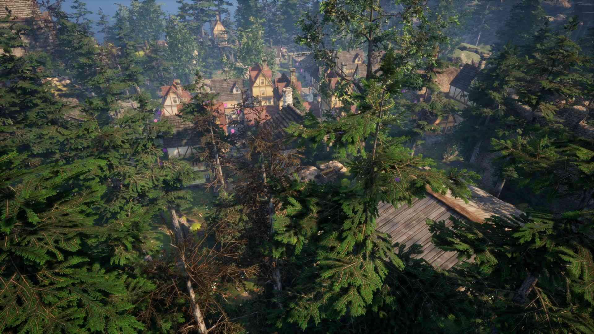 动物拯救者/Animal Rescuer_1