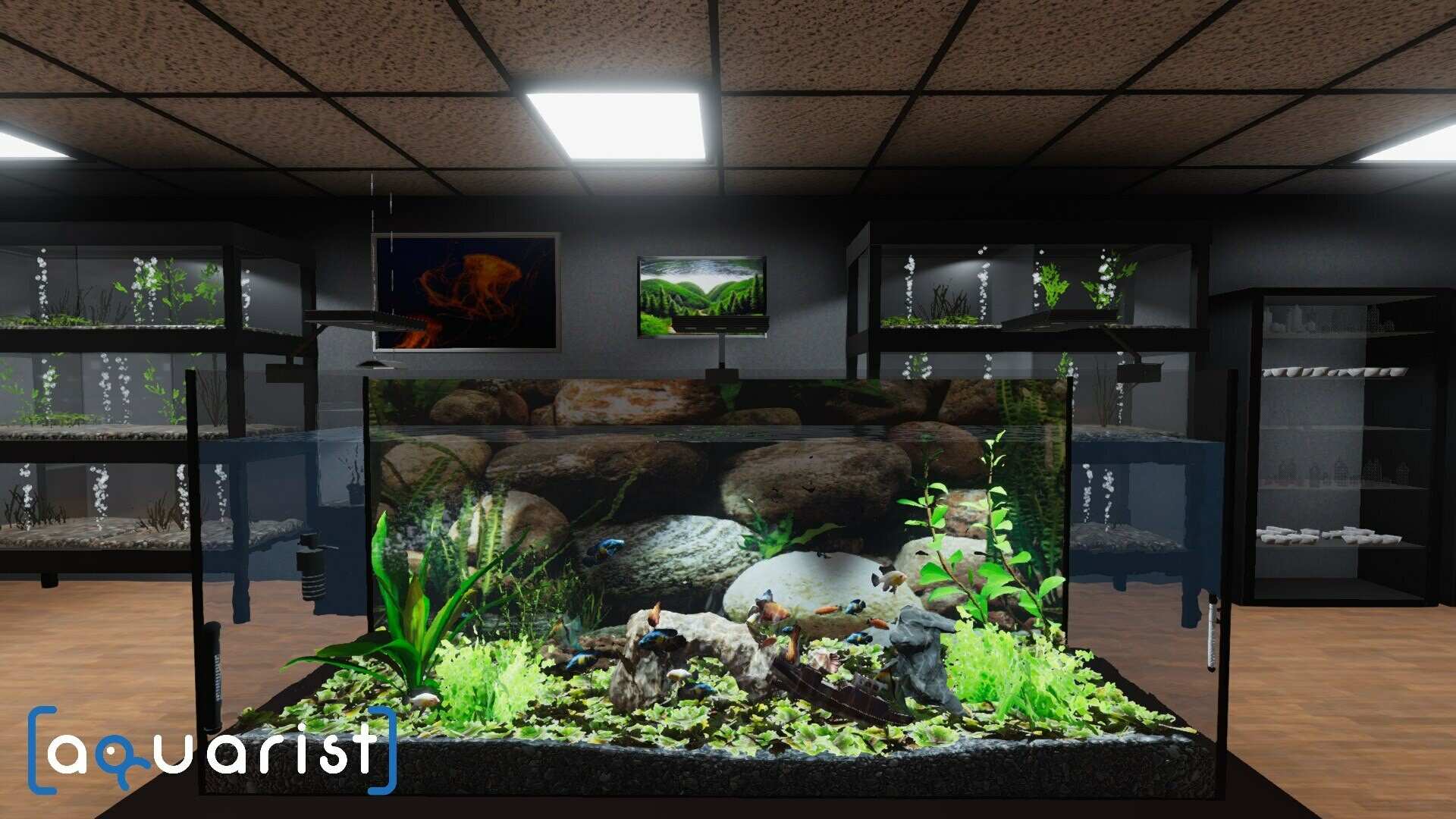 Aquarist - 建造水族馆，养鱼，发展你的事业！_0
