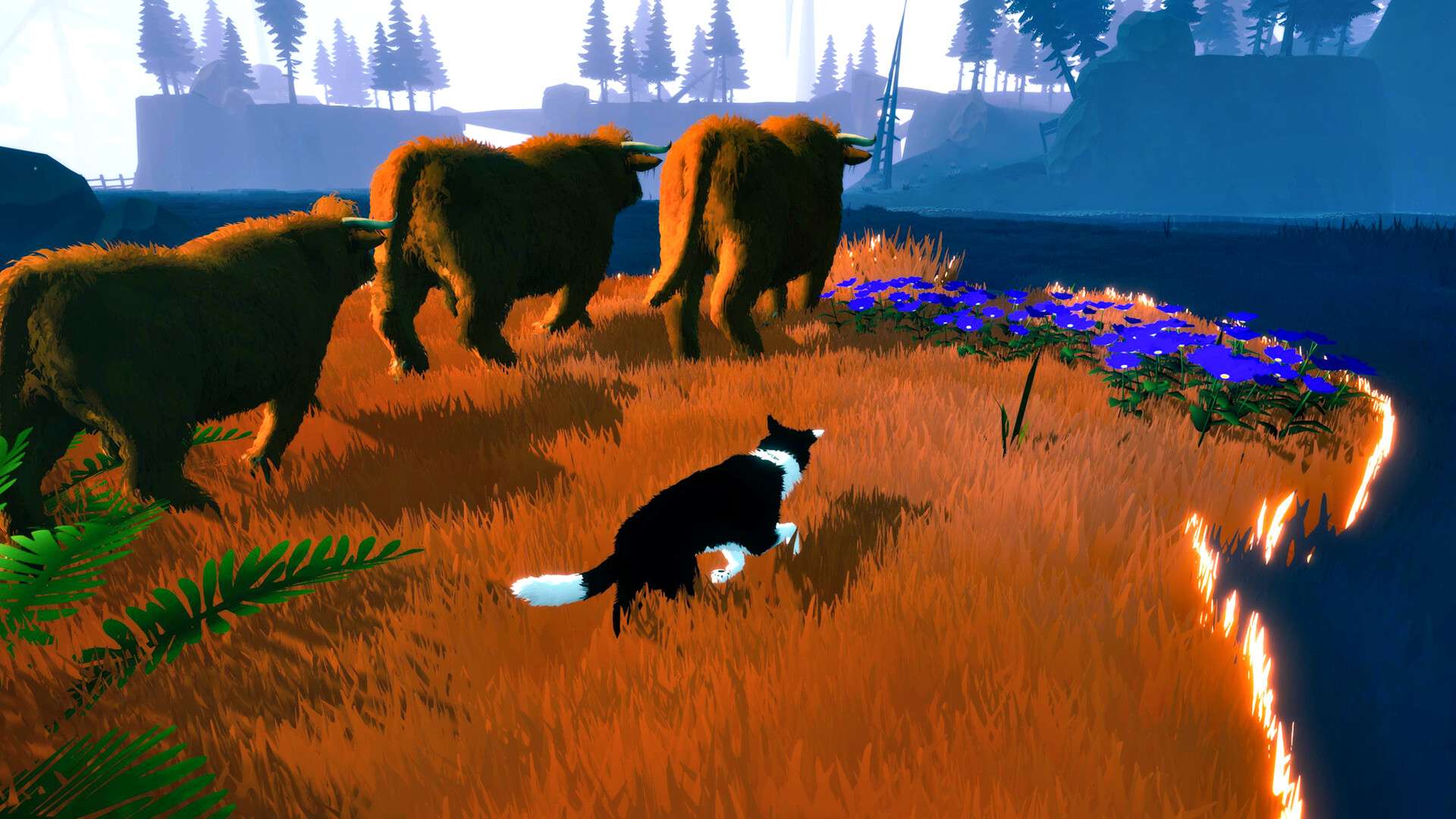 告别北方/Farewell North_0