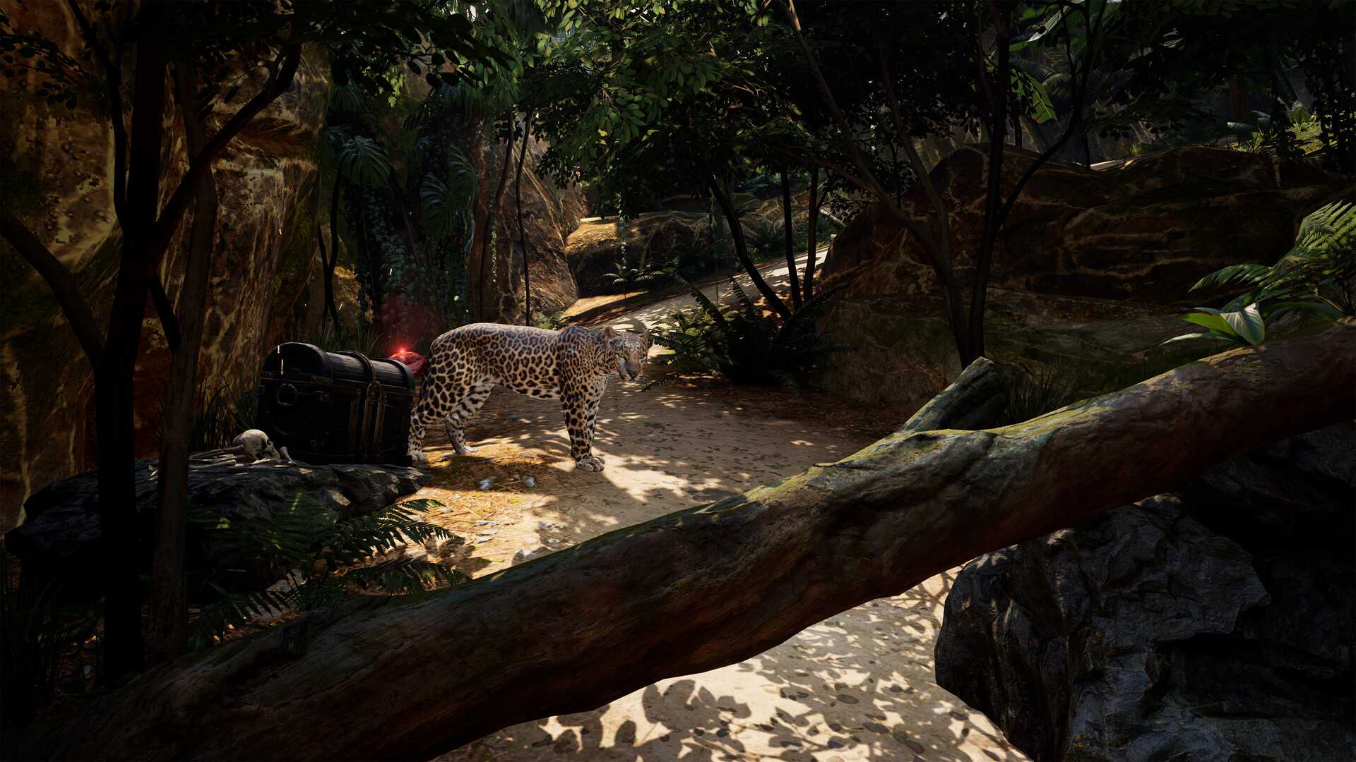 海盗VR: 海盗旗/Pirates VR: Jolly Roger_5