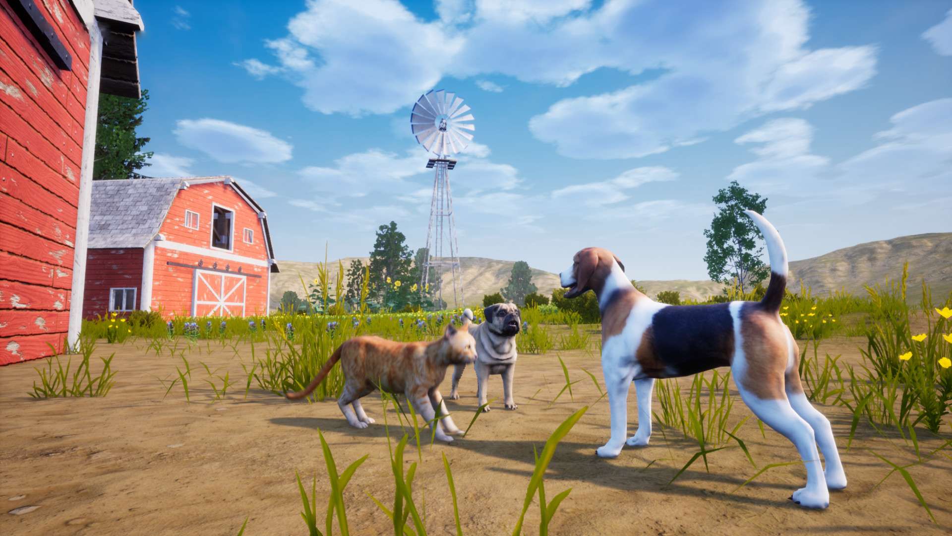 猫模拟器/Cat Simulator_3