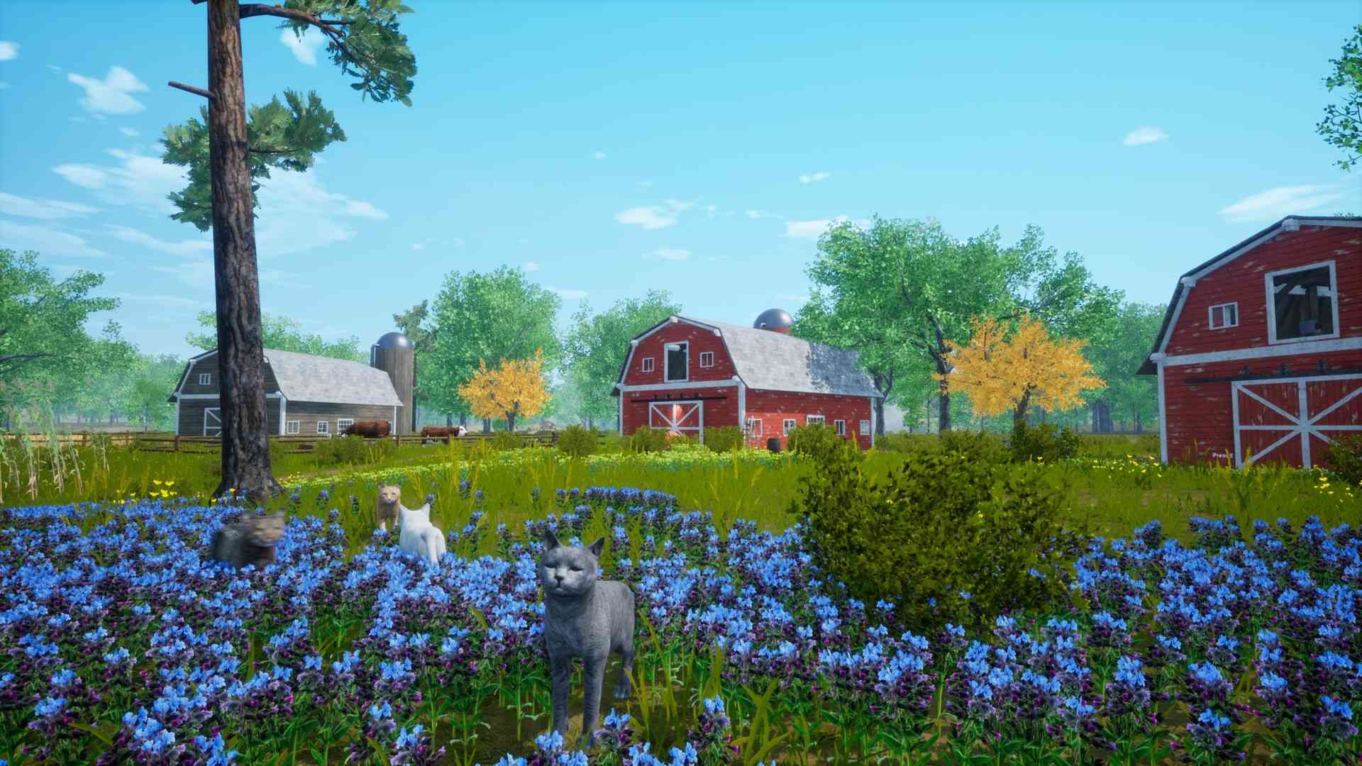 猫模拟器/Cat Simulator_2