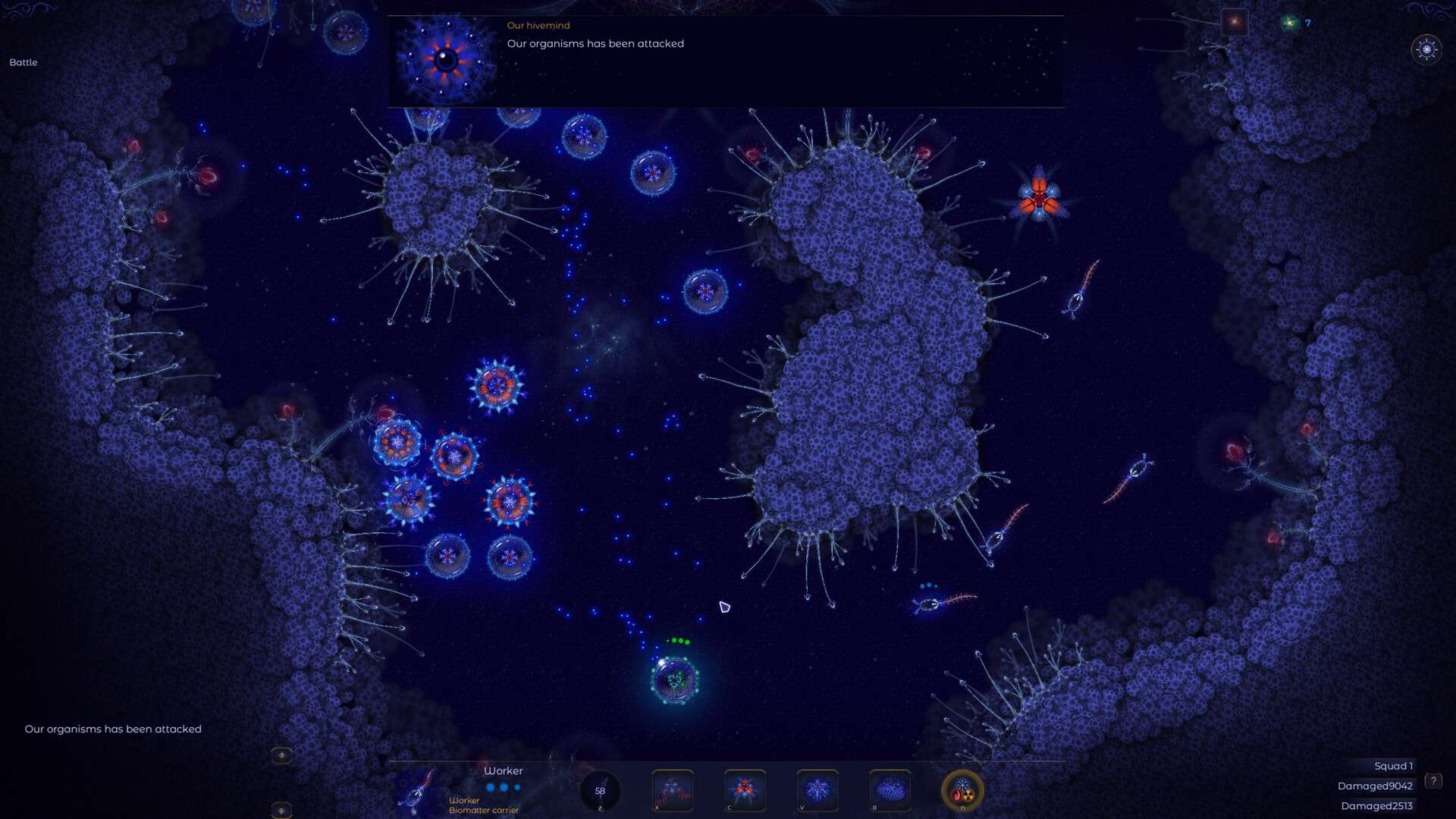 微观世界2/Microcosmum 2_3