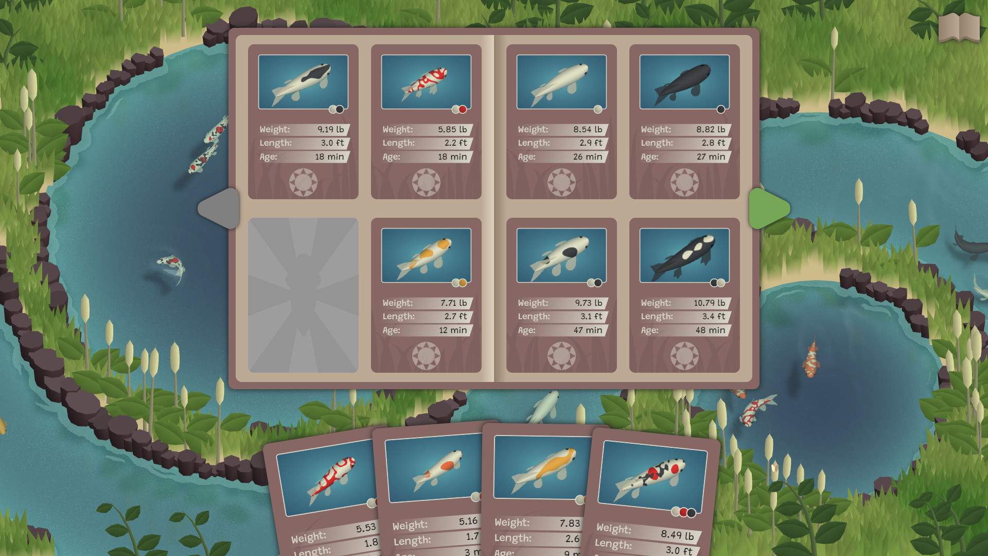 锦鲤养殖场/Koi Farm_1