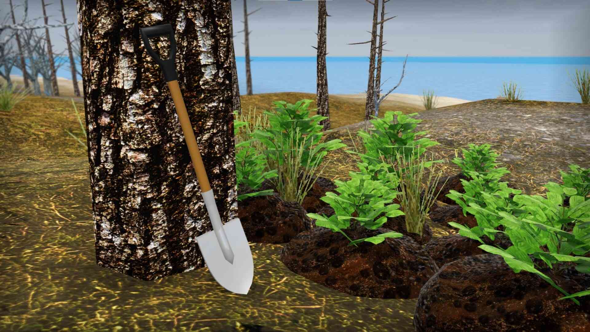 我的破车/Mon Bazou_2