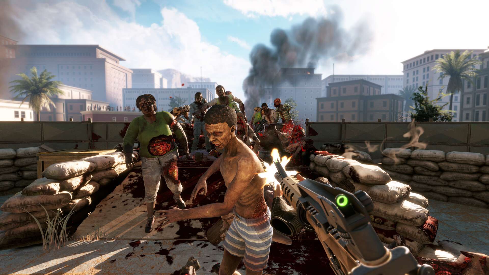 亚利桑那阳光2/Arizona Sunshine 2_1