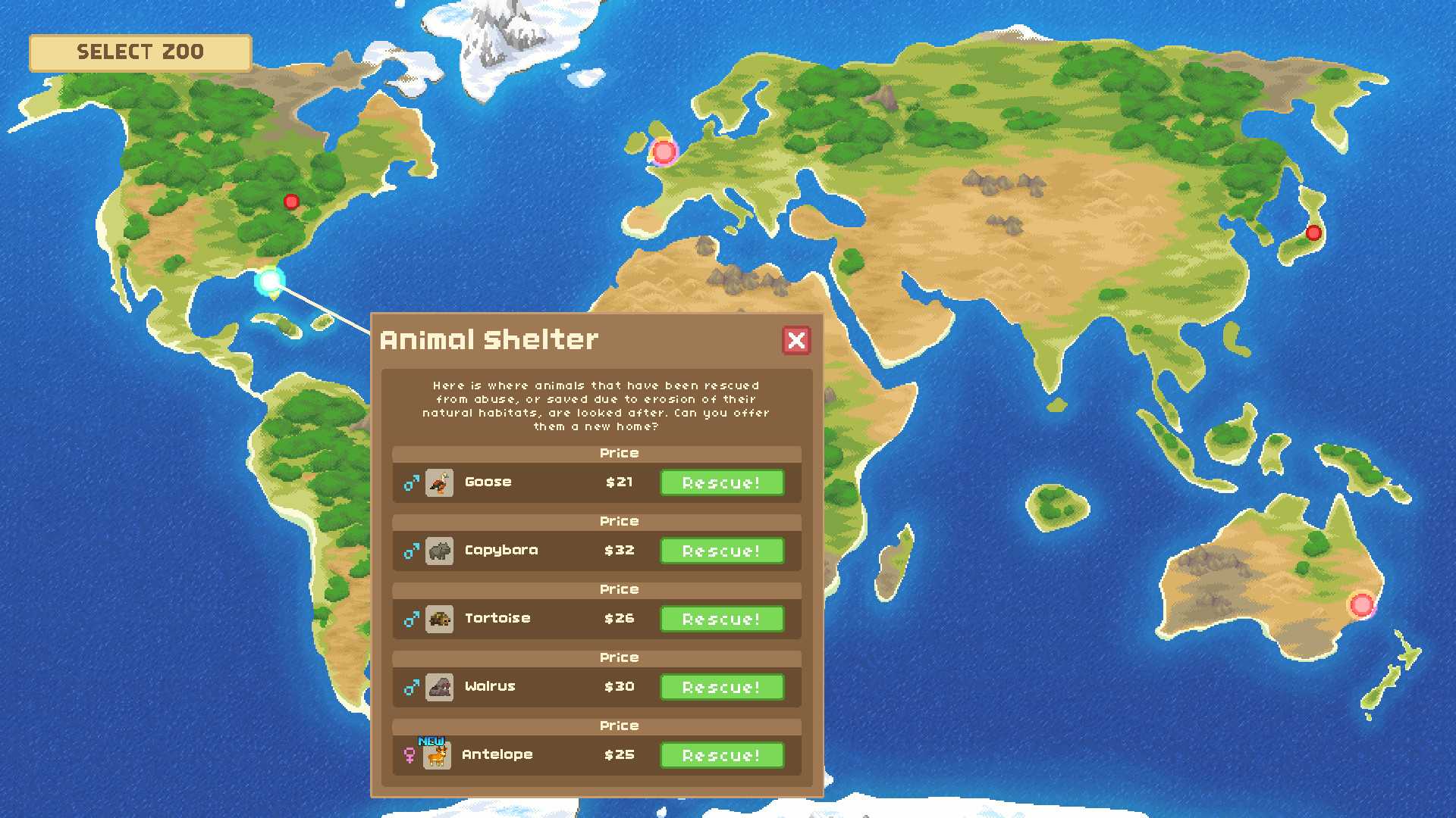 来建一家动物园/让我们建一个动物园吧/Let's Build a Zoo_5