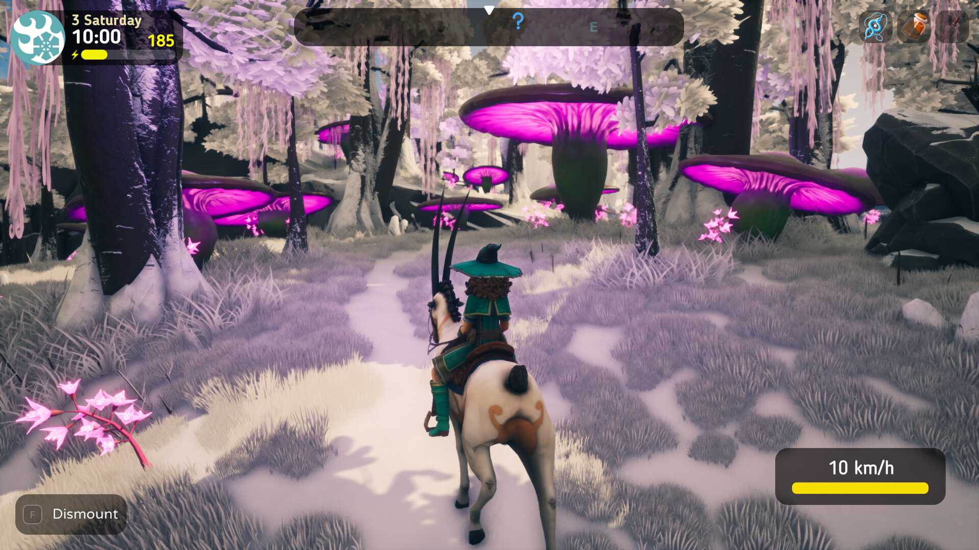 弗恩岛上的女巫/The Witch of Fern Island_3