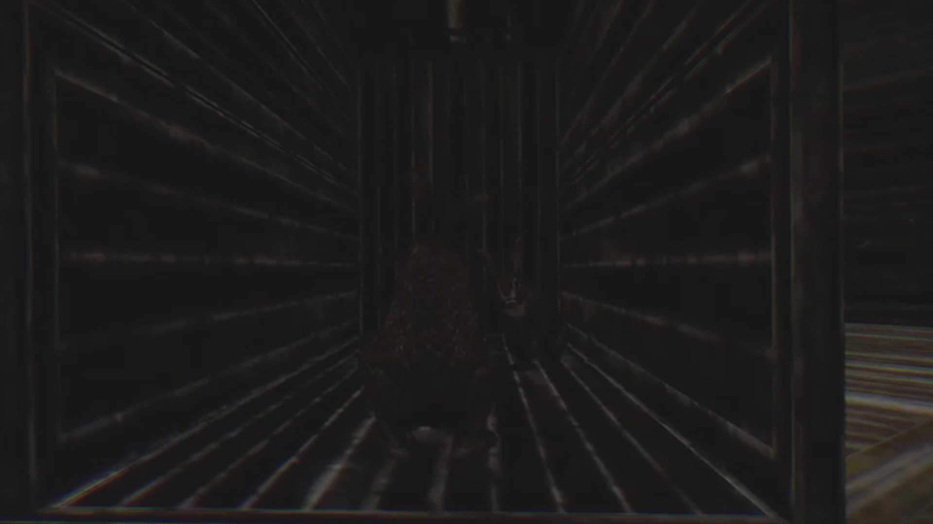 兔子骚动/Rabbit Riot_2